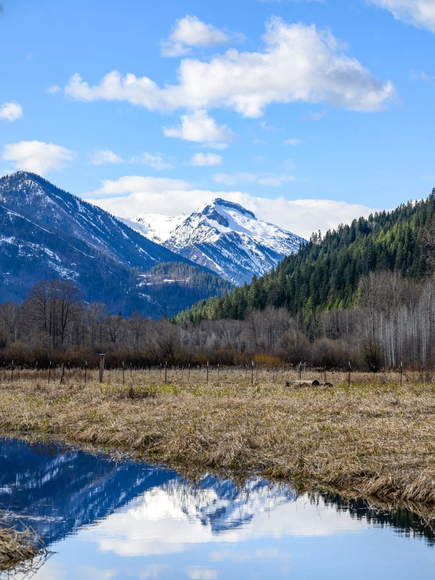 Untitled_Full_Size__DSC0710-Edit_20250403.jpg
