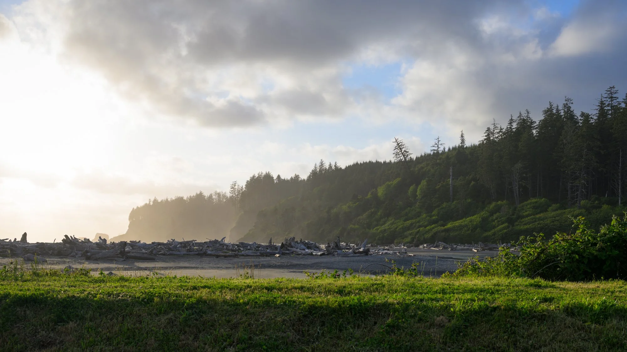 Untitled_Full_Size__DSC4203_20250531.jpg