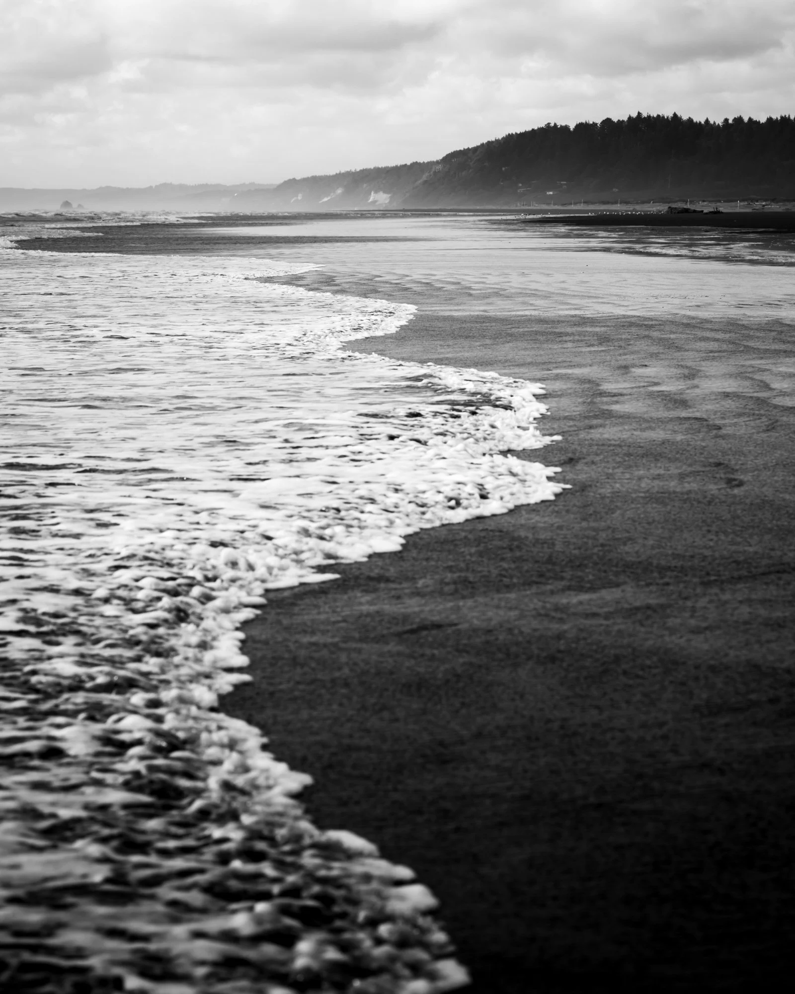 Untitled_Full_Size__DSC3879_20250531.jpg