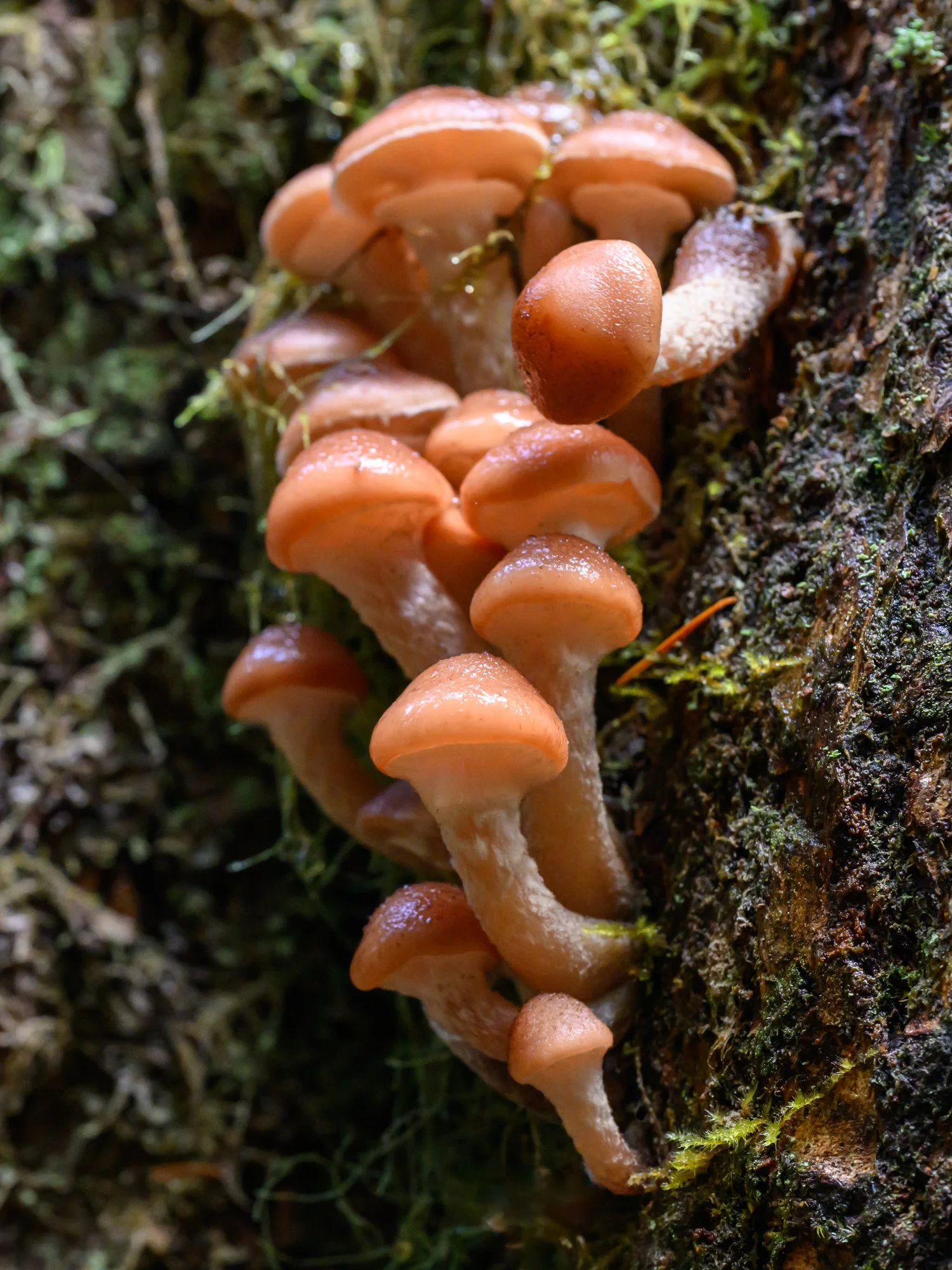 Untitled_Full_Size_DSC_9964_20251026.jpg