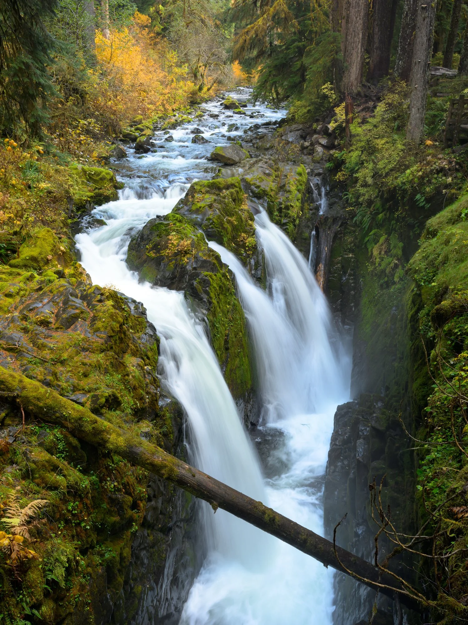 Untitled_Full_Size_DSC_0062_20251026.jpg