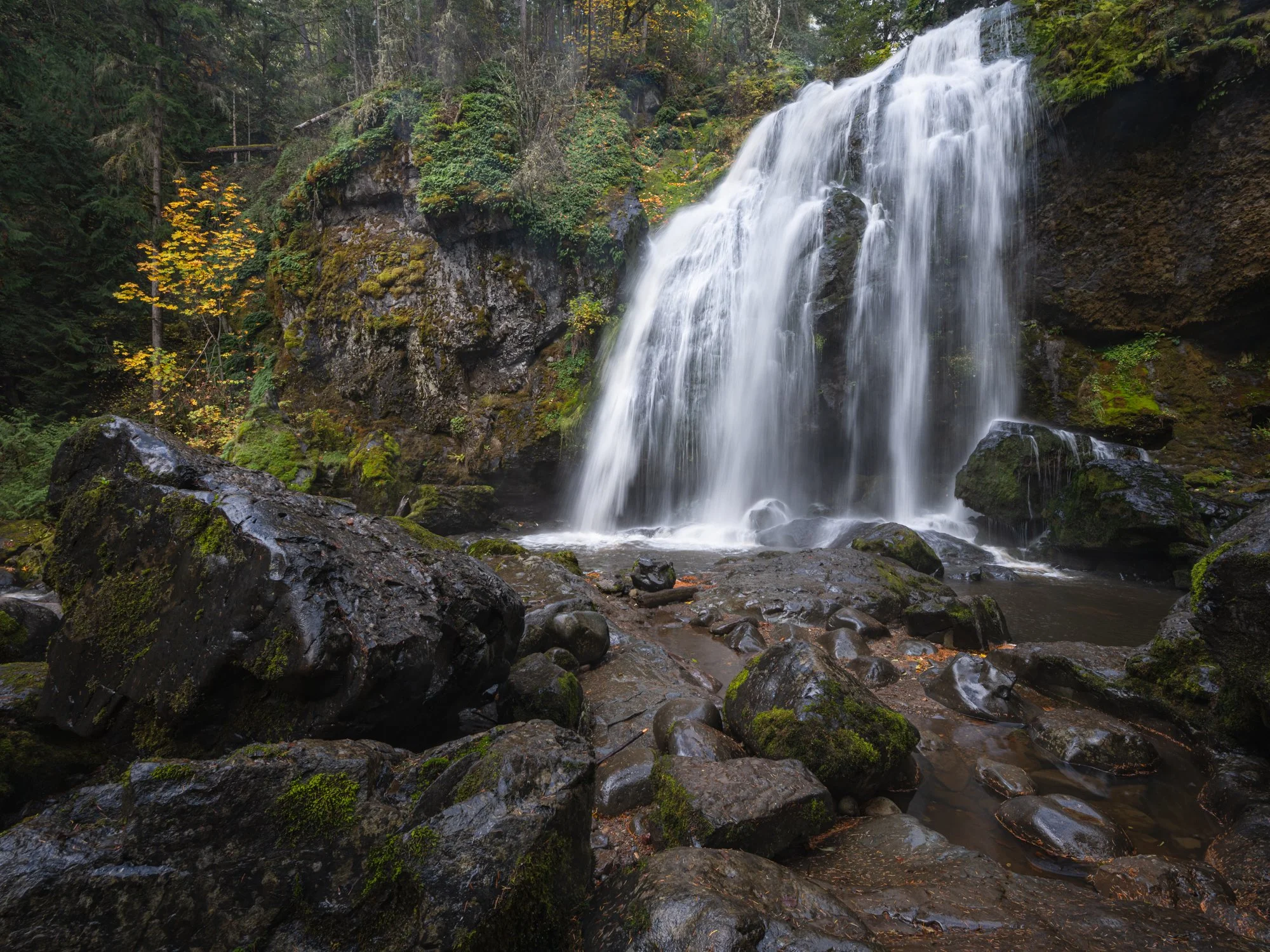 Untitled_Full_Size__DSC1264-Edit_20241105.jpg