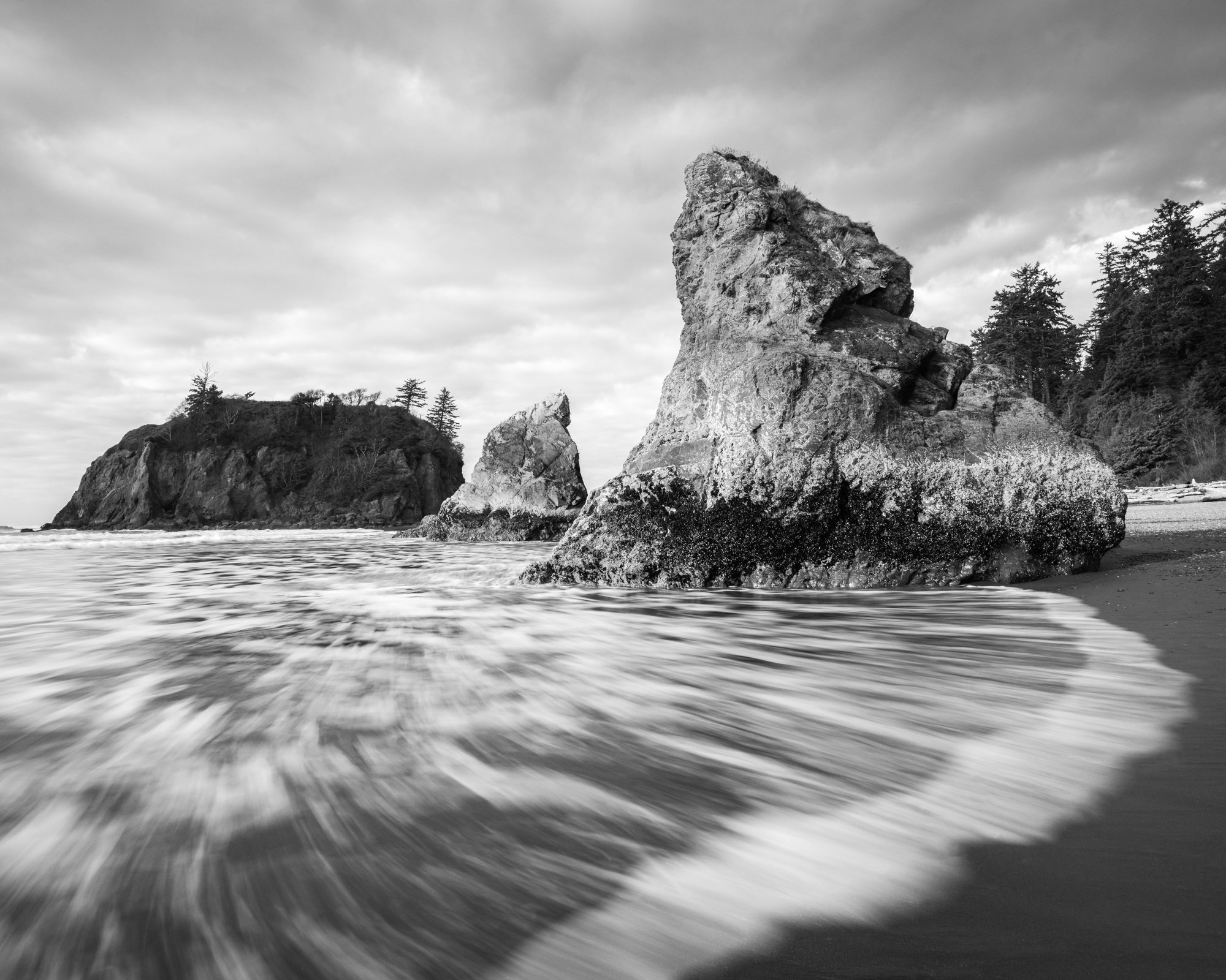 Untitled_Full_Size__DSC1899_20241211.jpg