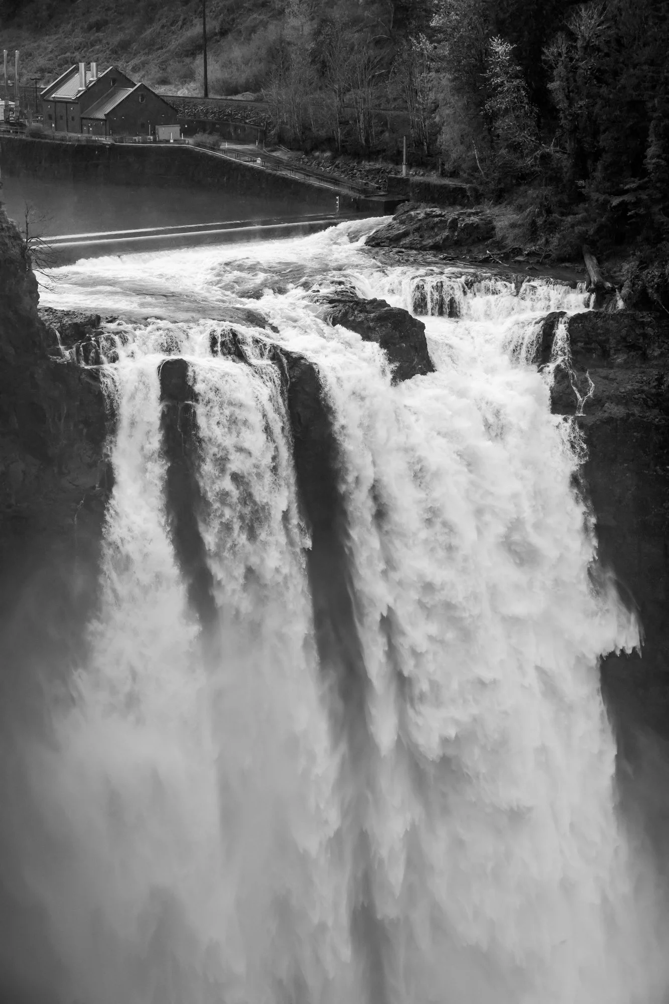 Untitled_Full_Size__DSC1800_20250407.jpg