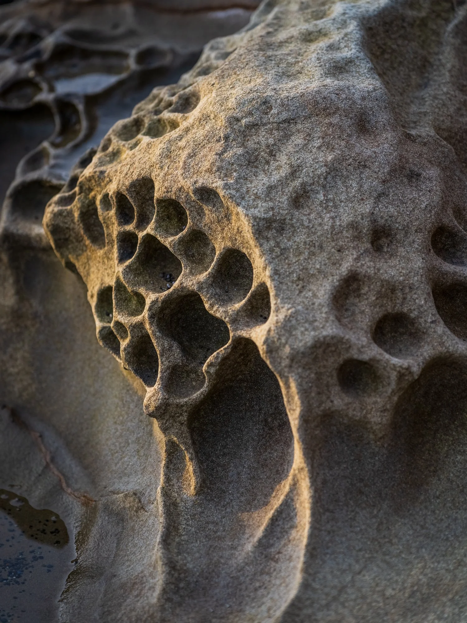 Untitled_Full_Size__NZ80289-HDR_20240314.jpg