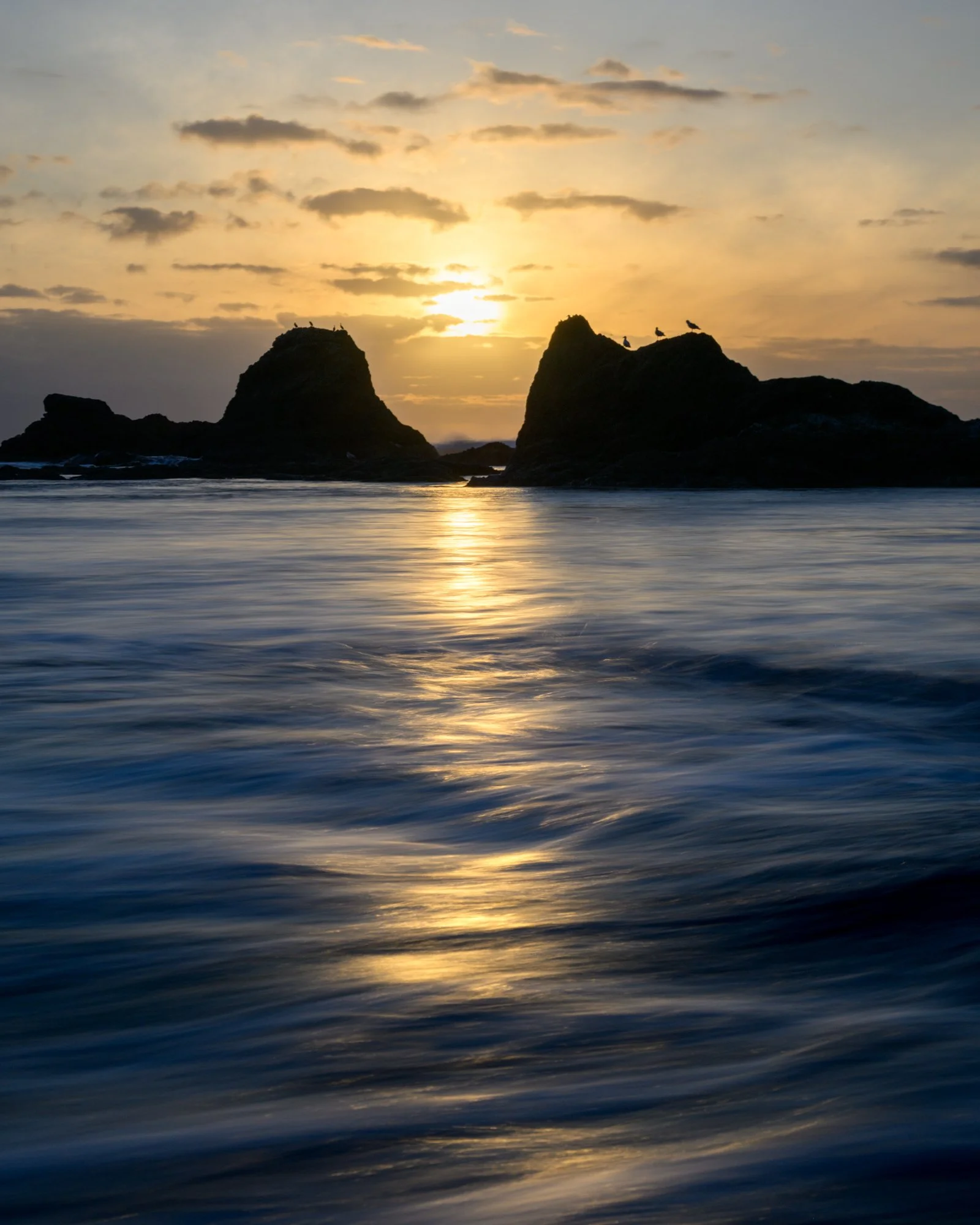 Untitled_Full_Size__DSC2381_20241211.jpg