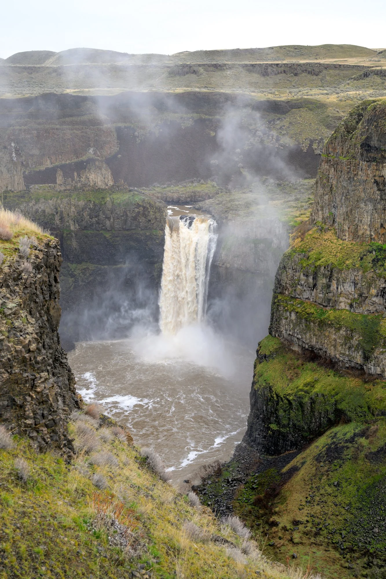 Untitled_Full_Size_DSC_6697_20260109.jpg
