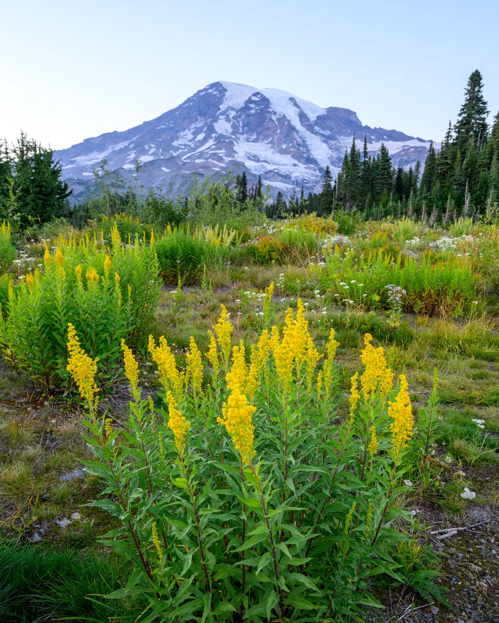 Untitled_Full_Size__DSC3889_20240831.jpg