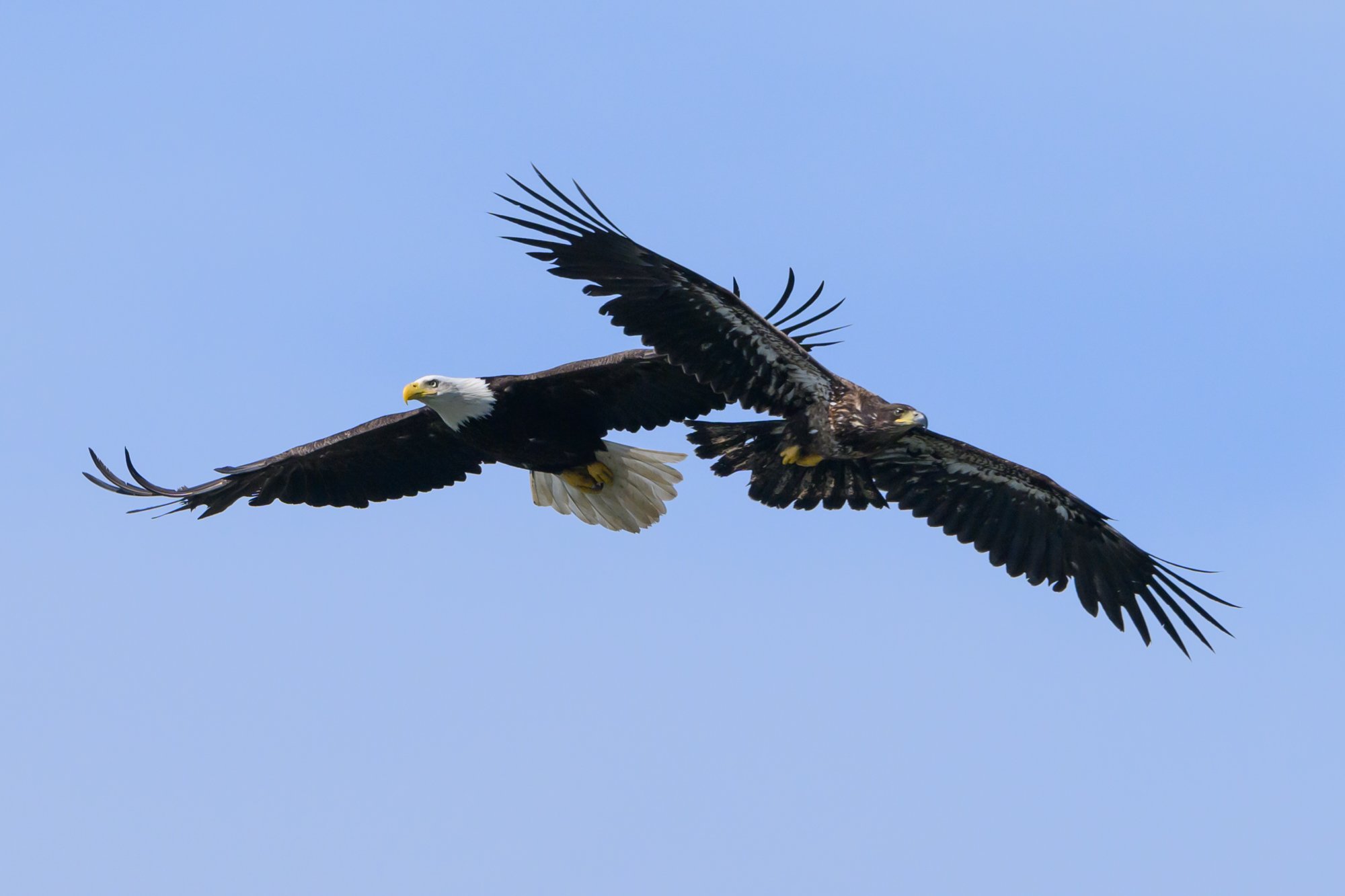 Untitled_Full_Size__DSC7756_20250610.jpg