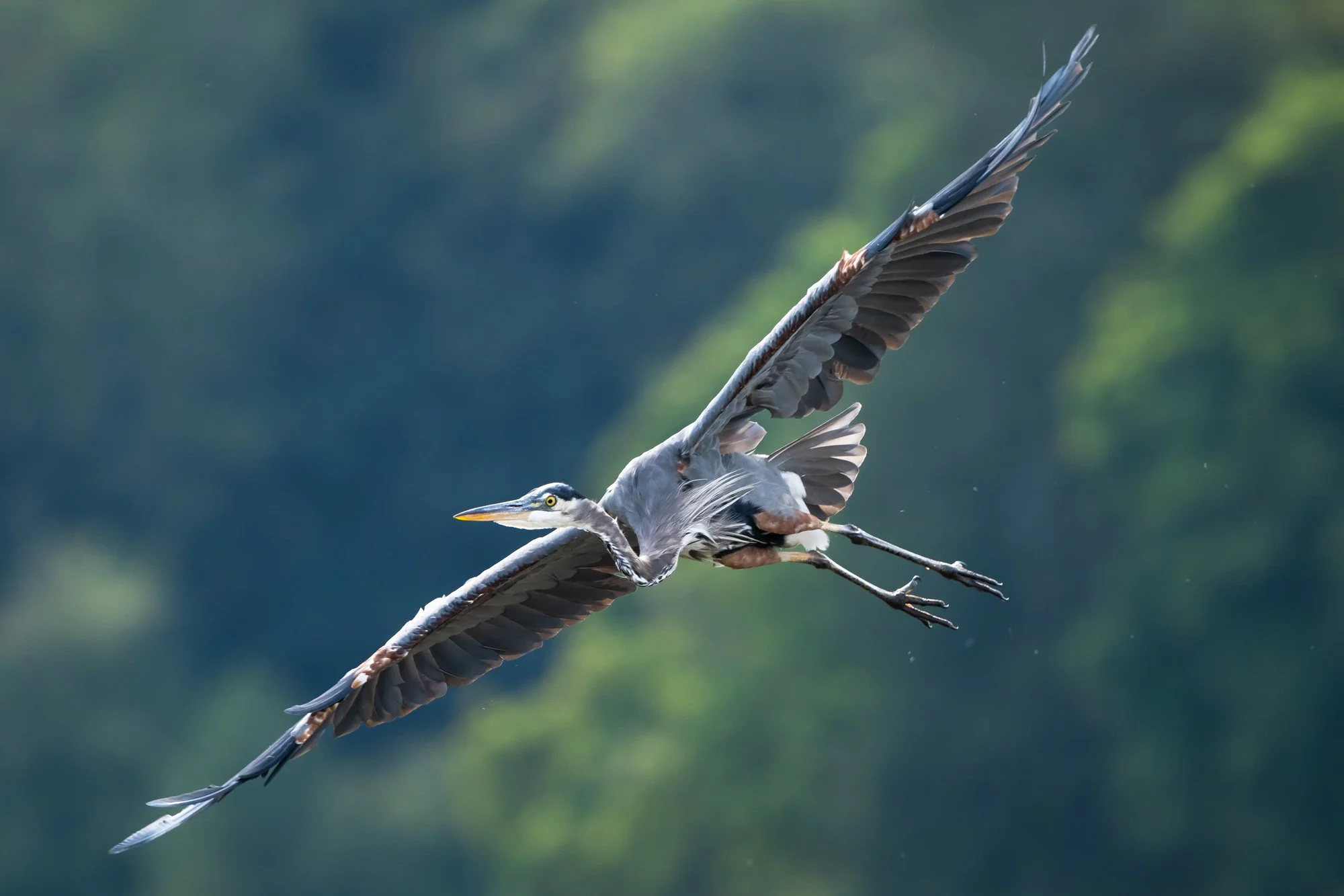 Untitled_Full_Size_DSC_7665_20250829.jpg
