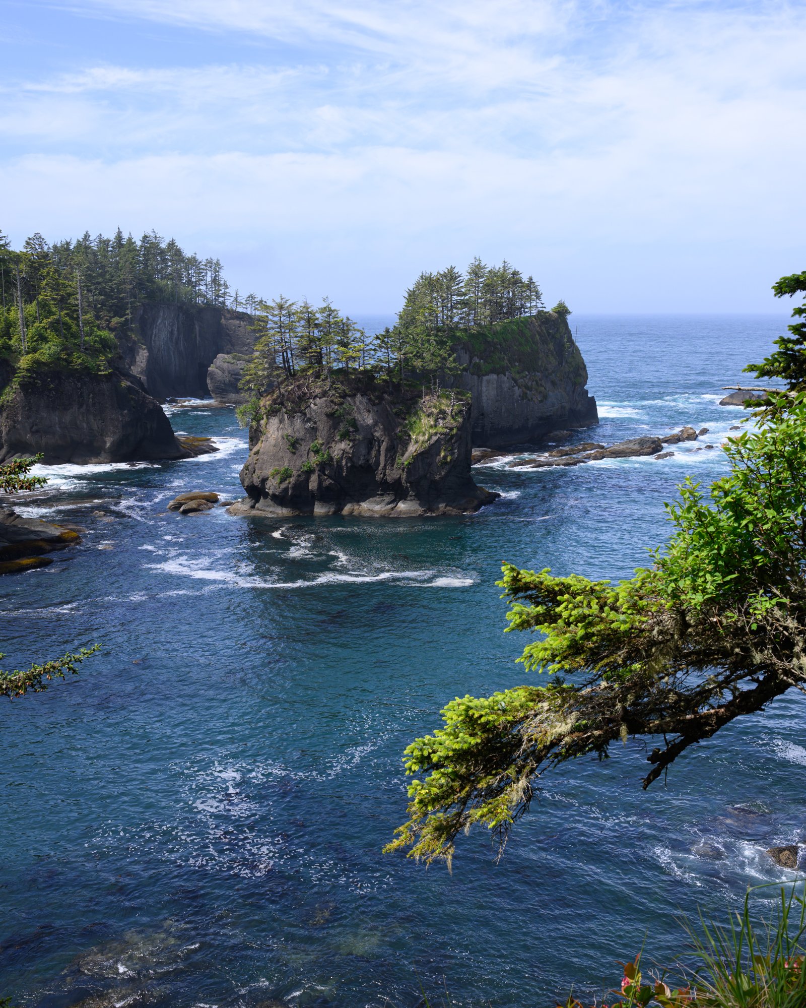 Untitled_Full_Size__DSC7708_20250609.jpg