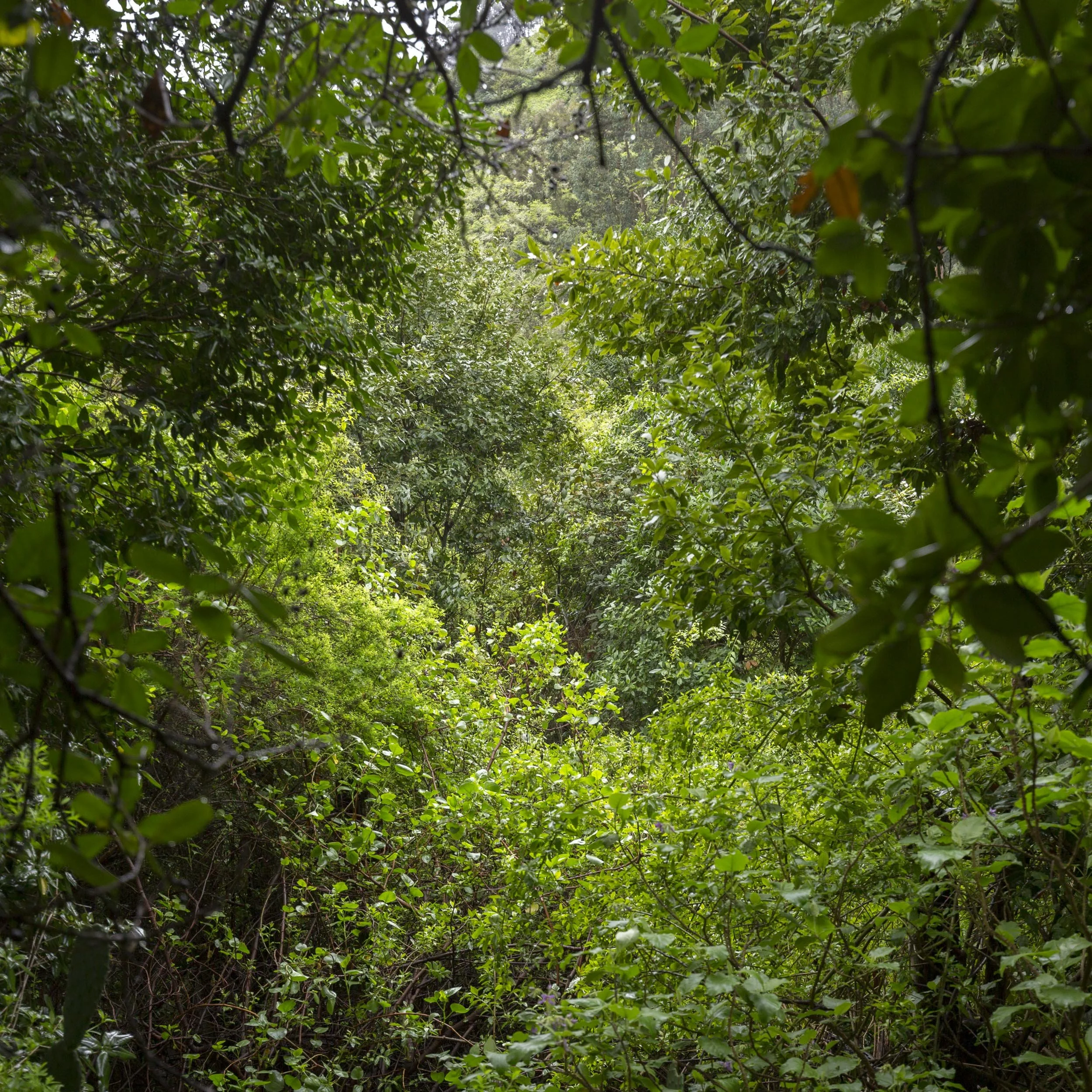 03-natural-gran-canaria.jpg