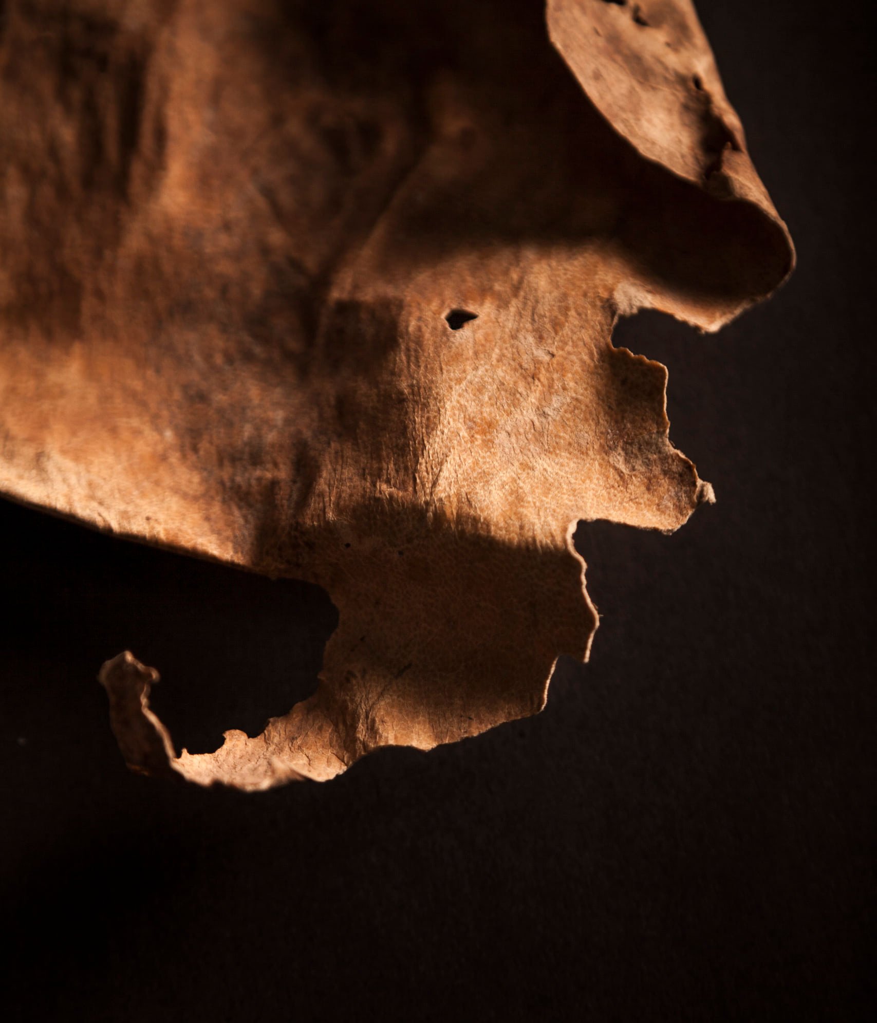 Archaeological piece found in Cueva Pintada in Gáldar (Gran Canaria). Photo: Tomás Correa
