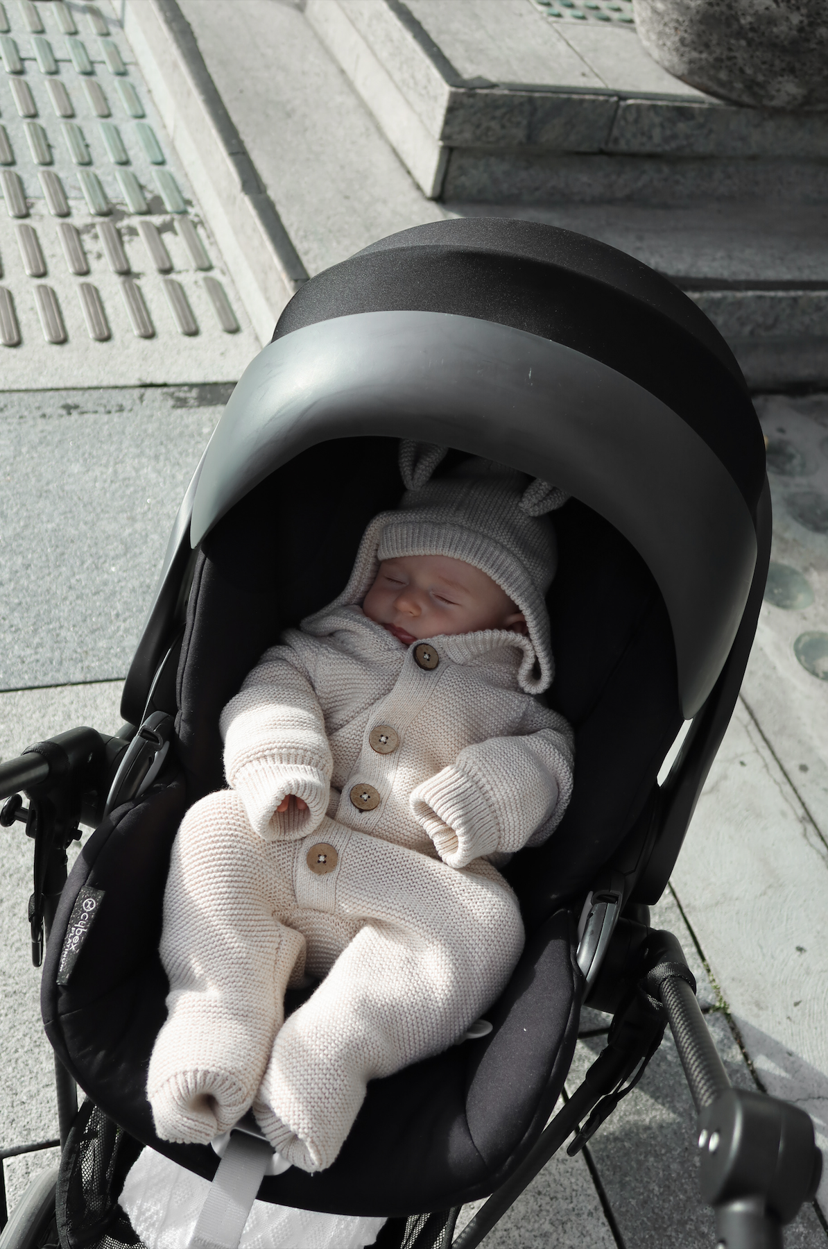 Con mi Taco hasta el fin del mundo.