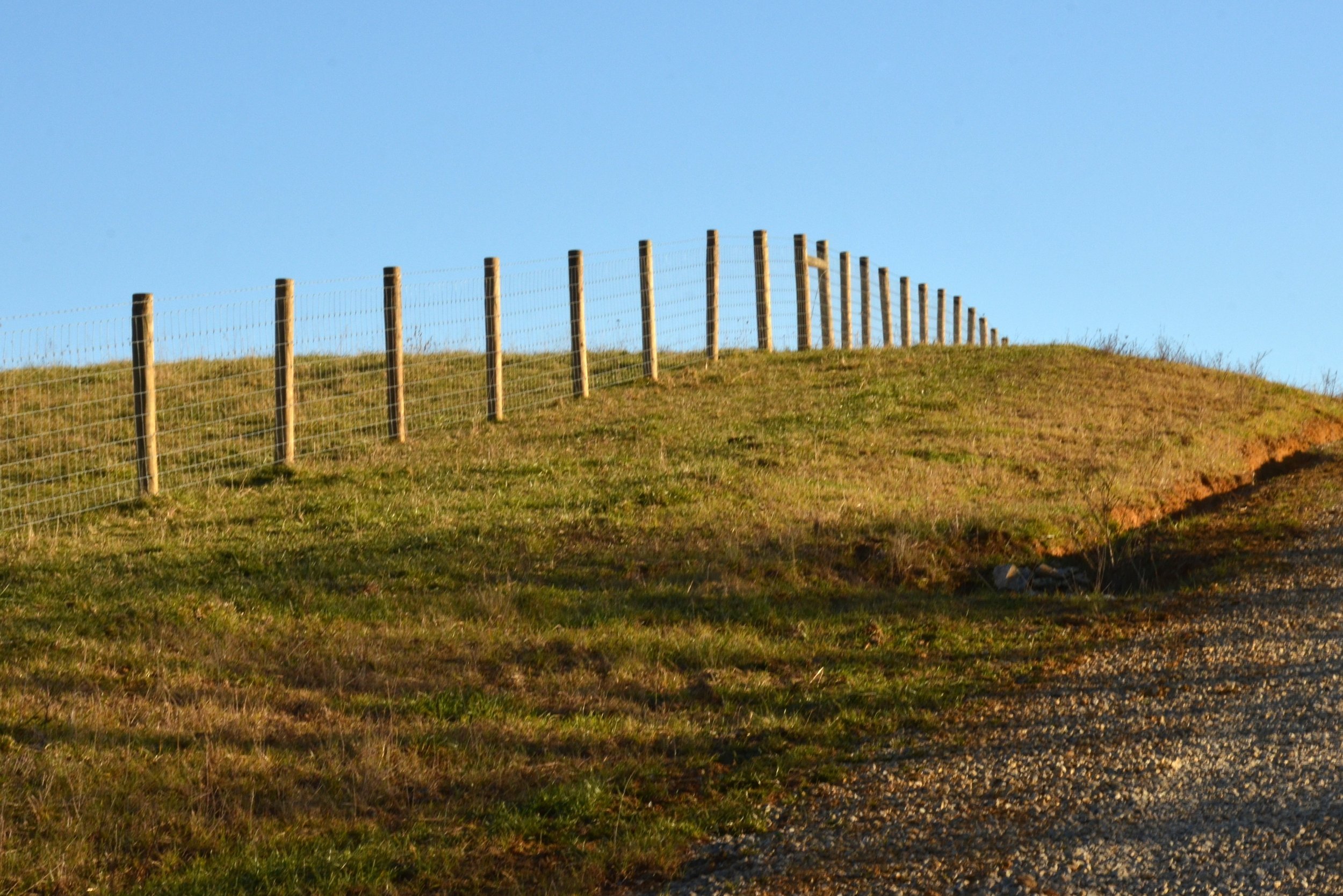 Fenceline.jpg