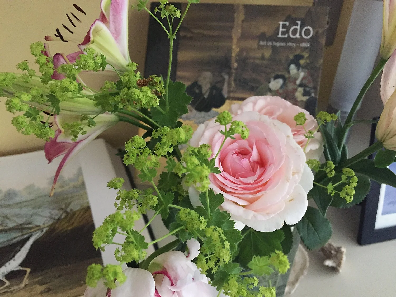 June - Pierre de Ronsard Rose with Ladies Mantle 