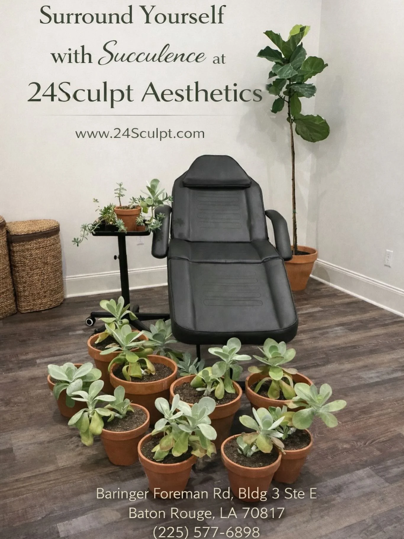 That&rsquo;s a lot of succulence 🌿

Be honestly&hellip;is there such a thing as too many succulents?

At 24Sculpt, we believe in fresh, plump, and glowing skin and maximum succulence.

👉 Tap the &ldquo;Book Now&rdquo; link in our profile to come ch