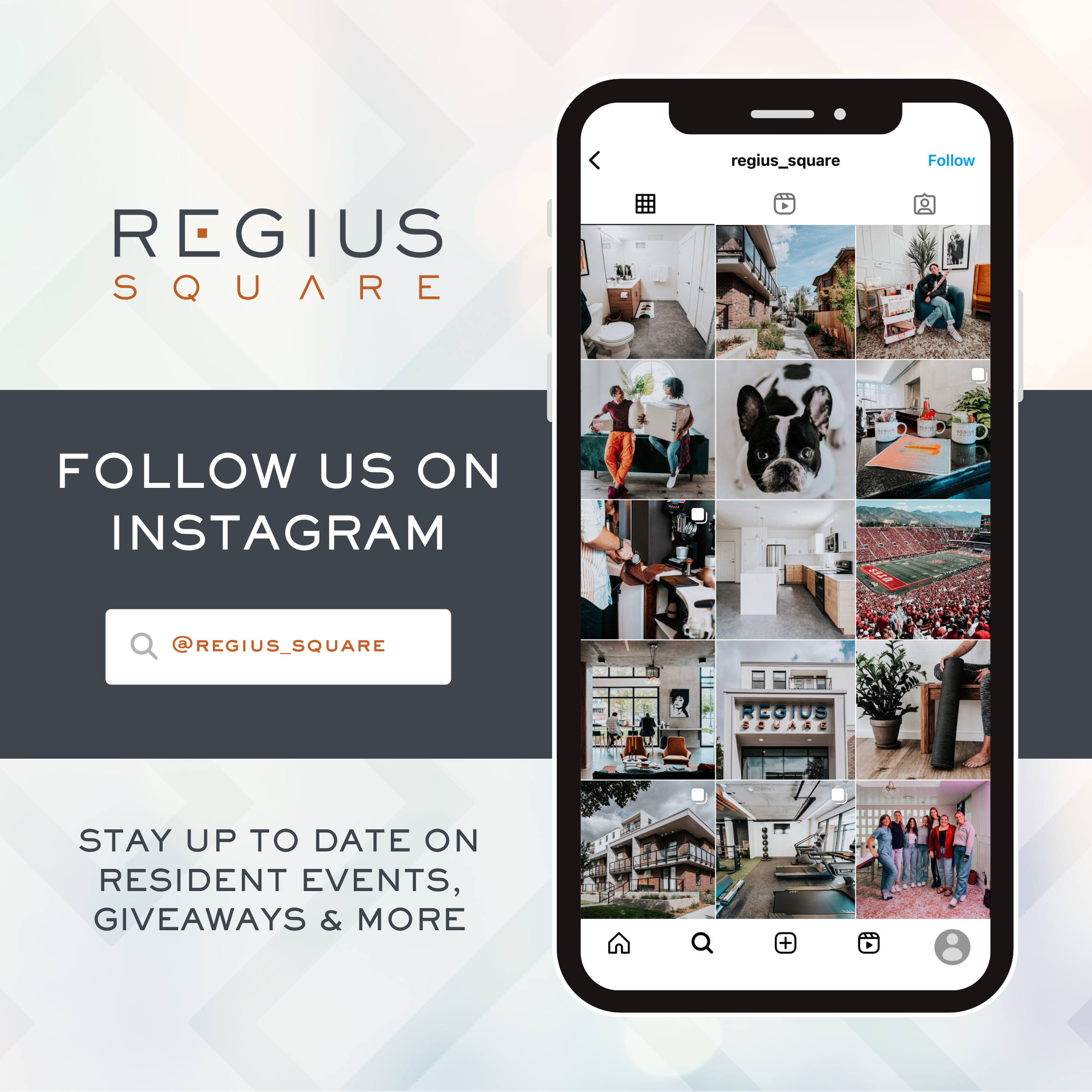 Regius Graphic Package (1).png