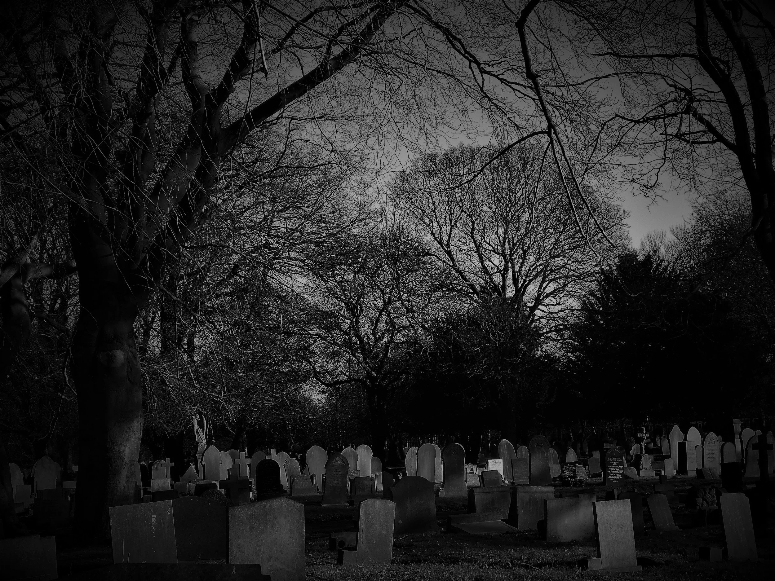 Haunted History