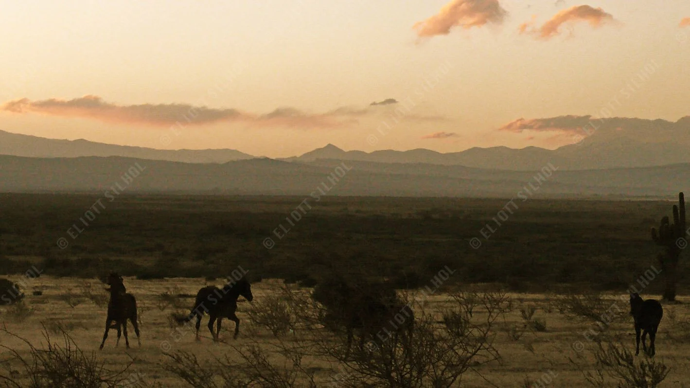 Eliott SILHOL - Places P1080253.JPG