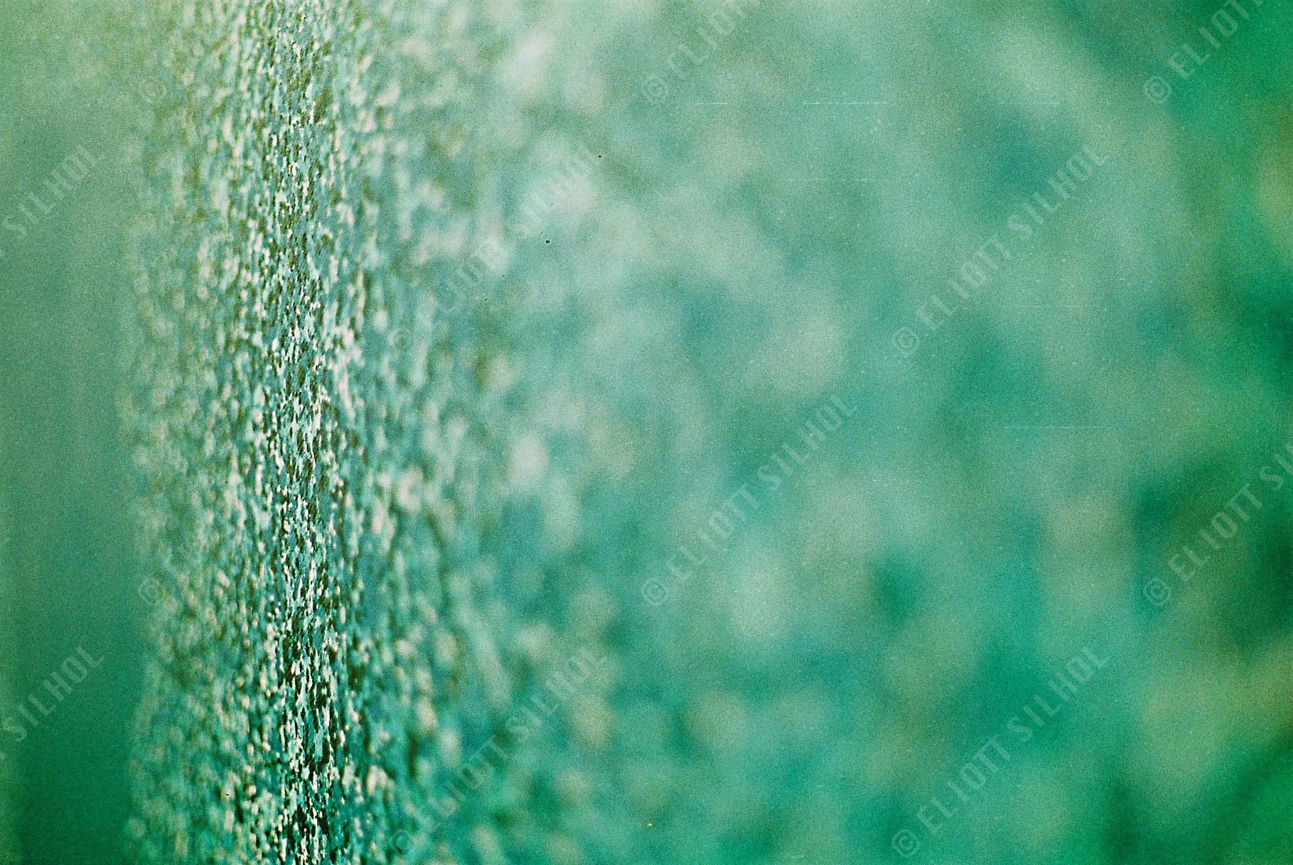 Eliott SILHOL - Art F1000002.JPG