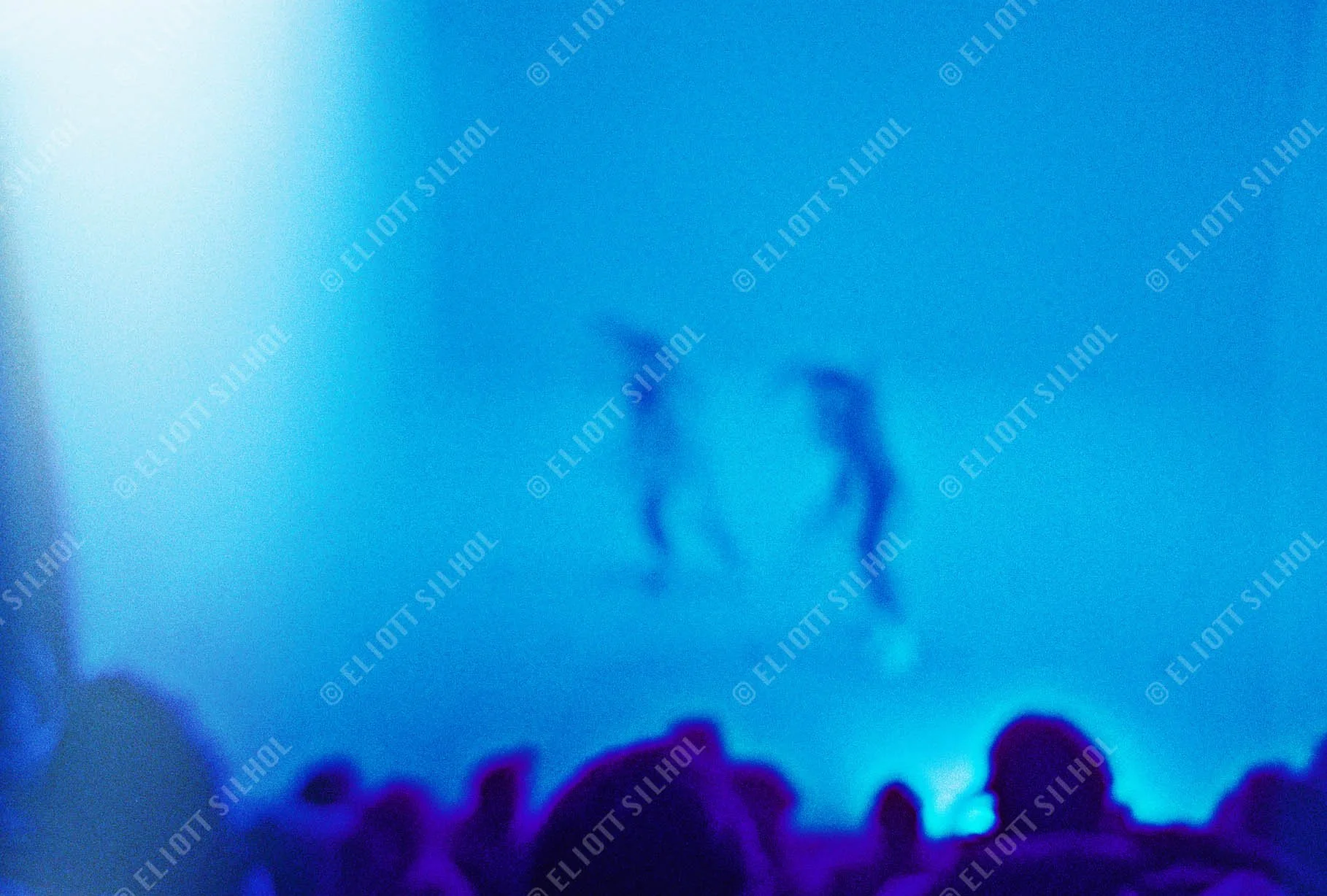 Eliott SILHOL - Danse CNV000041 copy.jpg