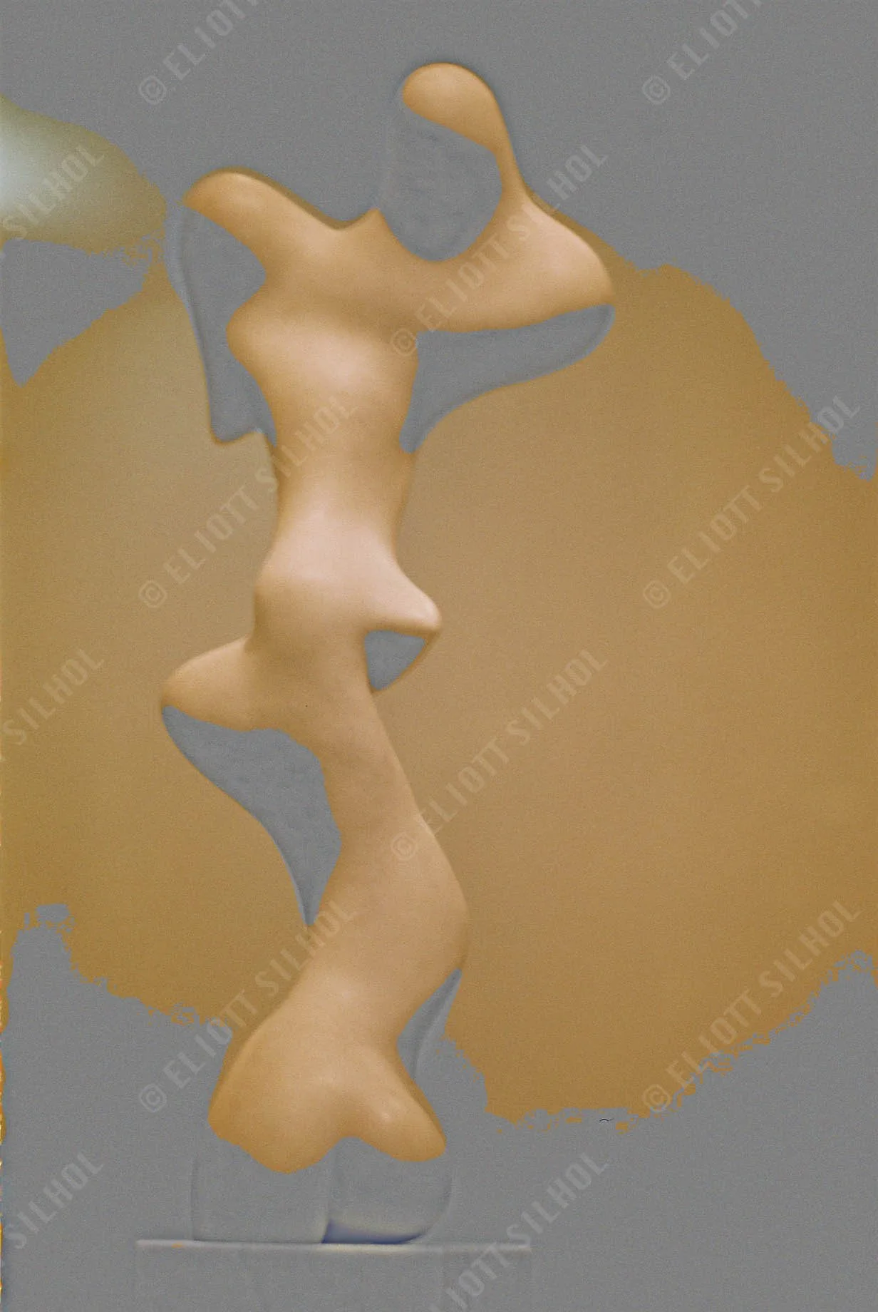 Eliott SILHOL - Art _Hans Arp 2.jpg