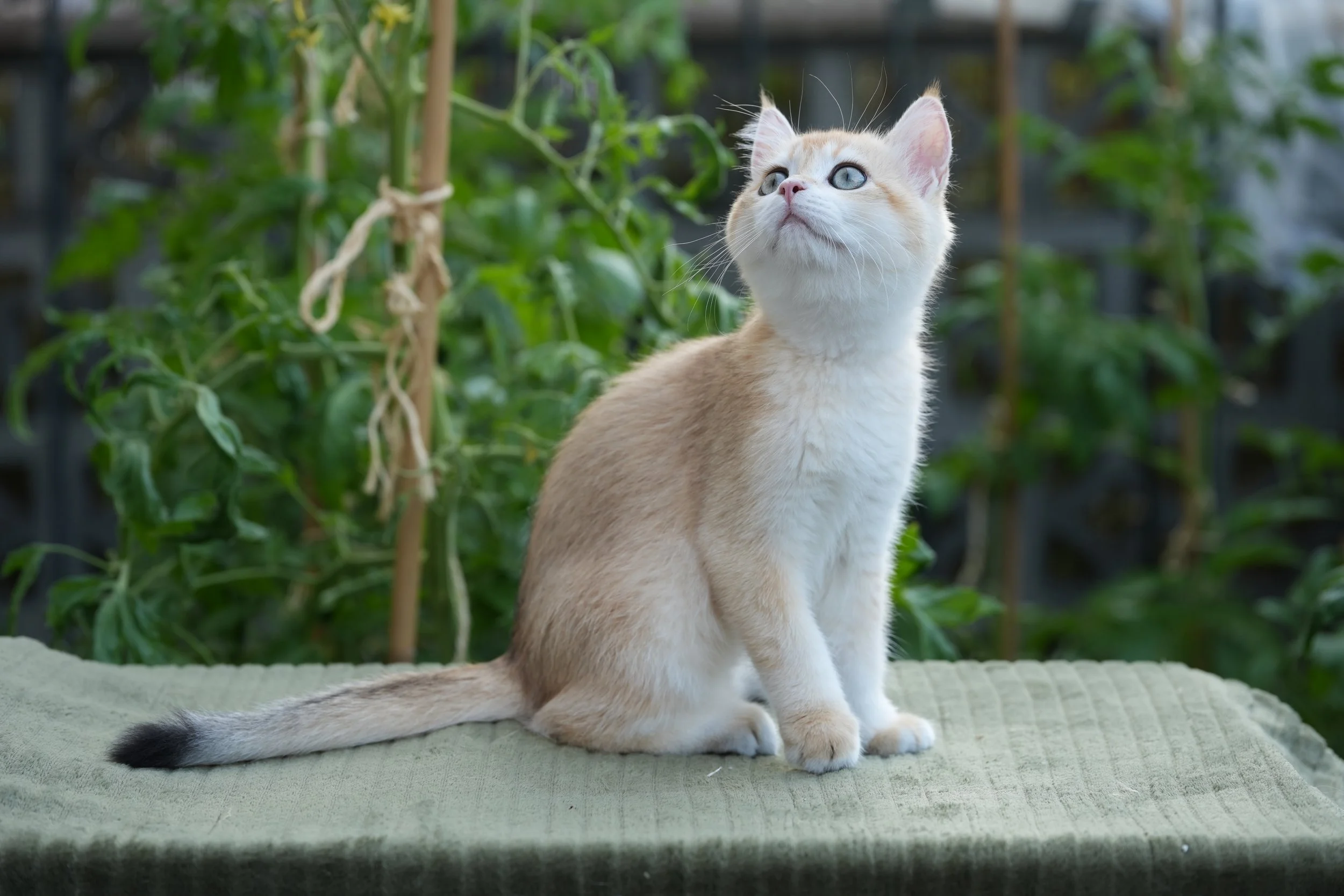 DSC01525.JPG