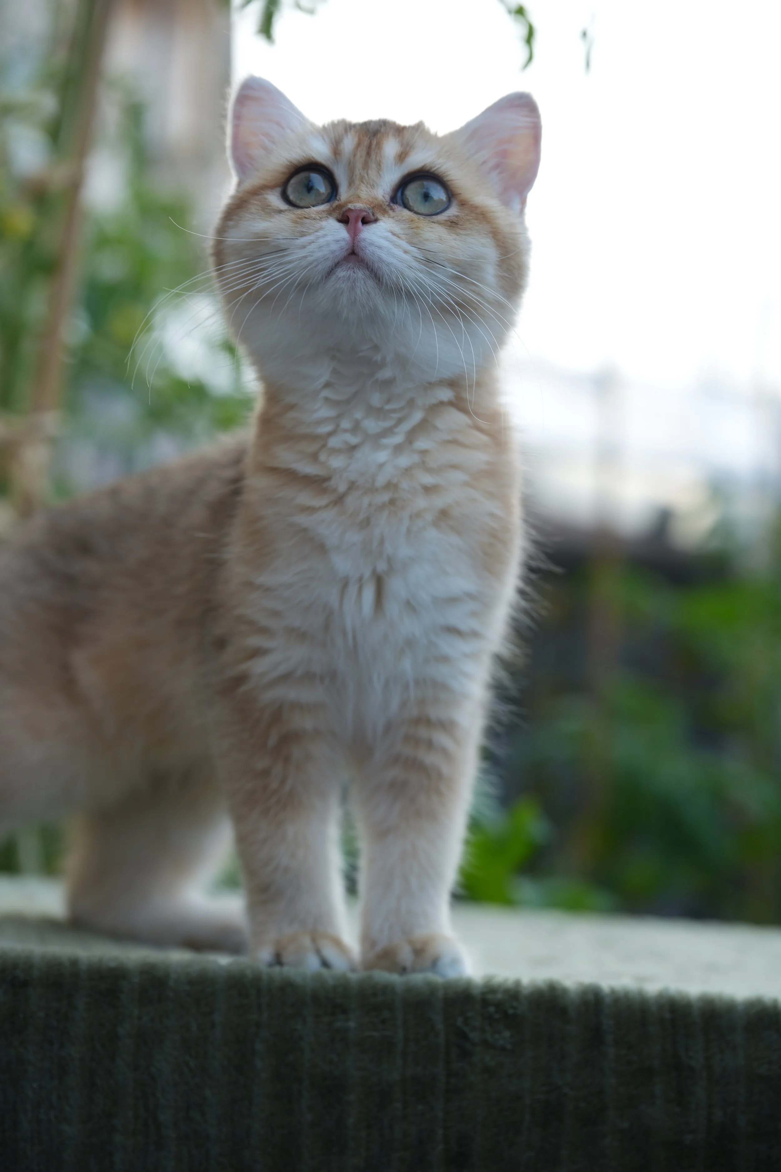 DSC01473.JPG