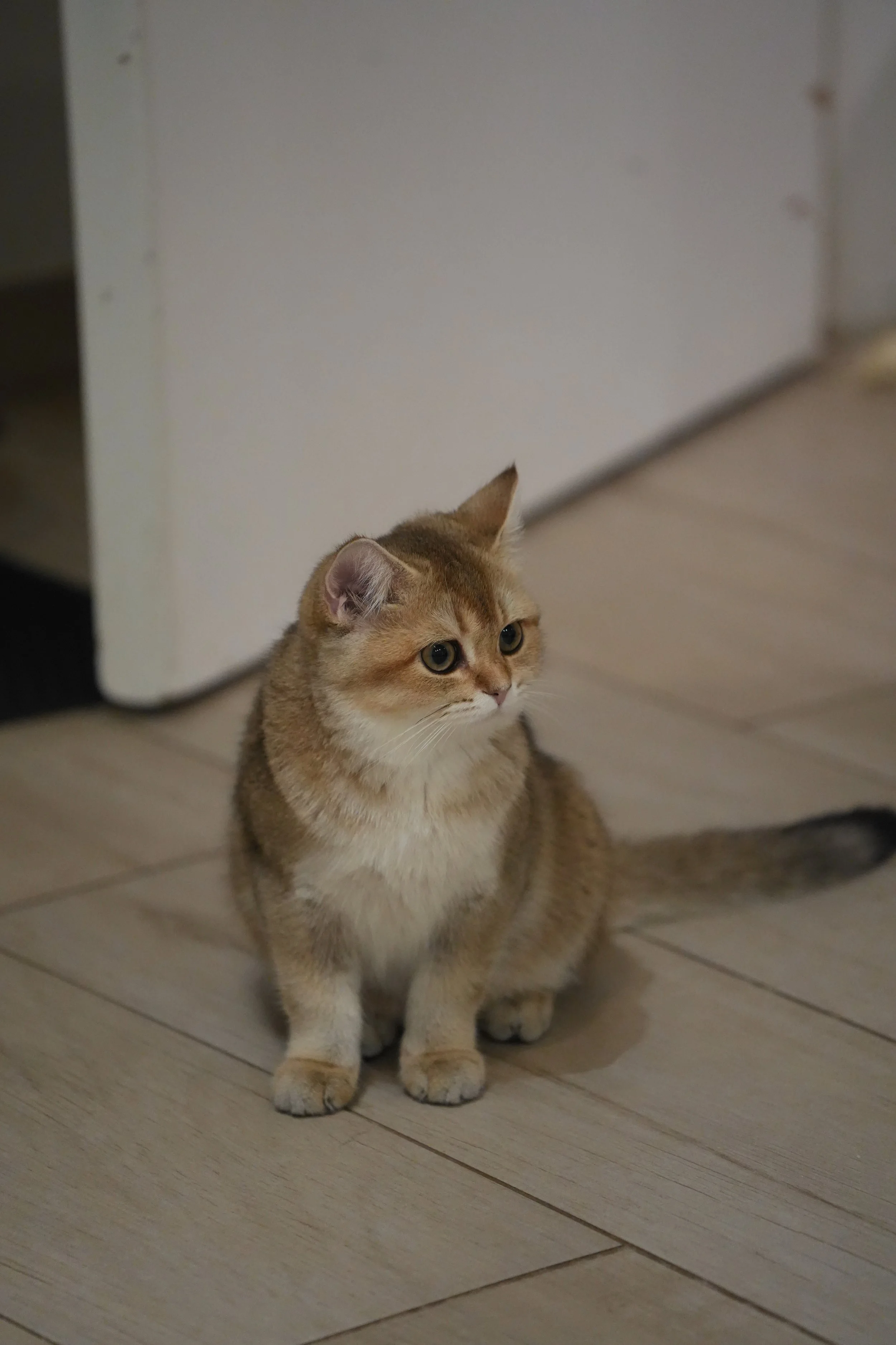 DSC03552.JPG