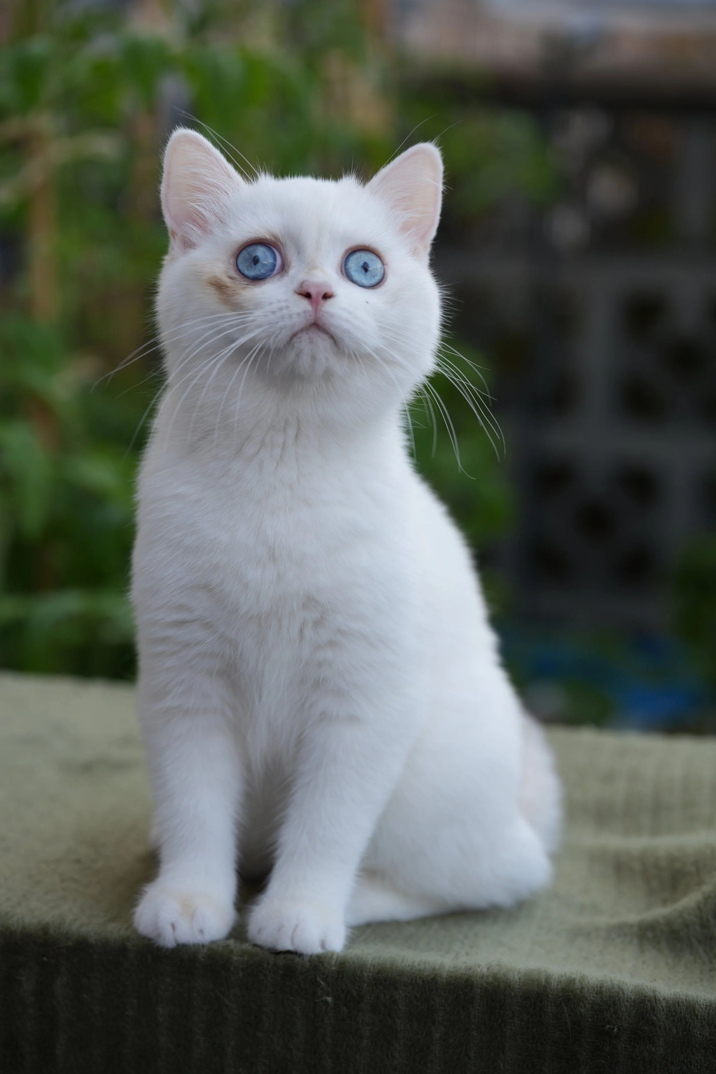 DSC01137.JPG