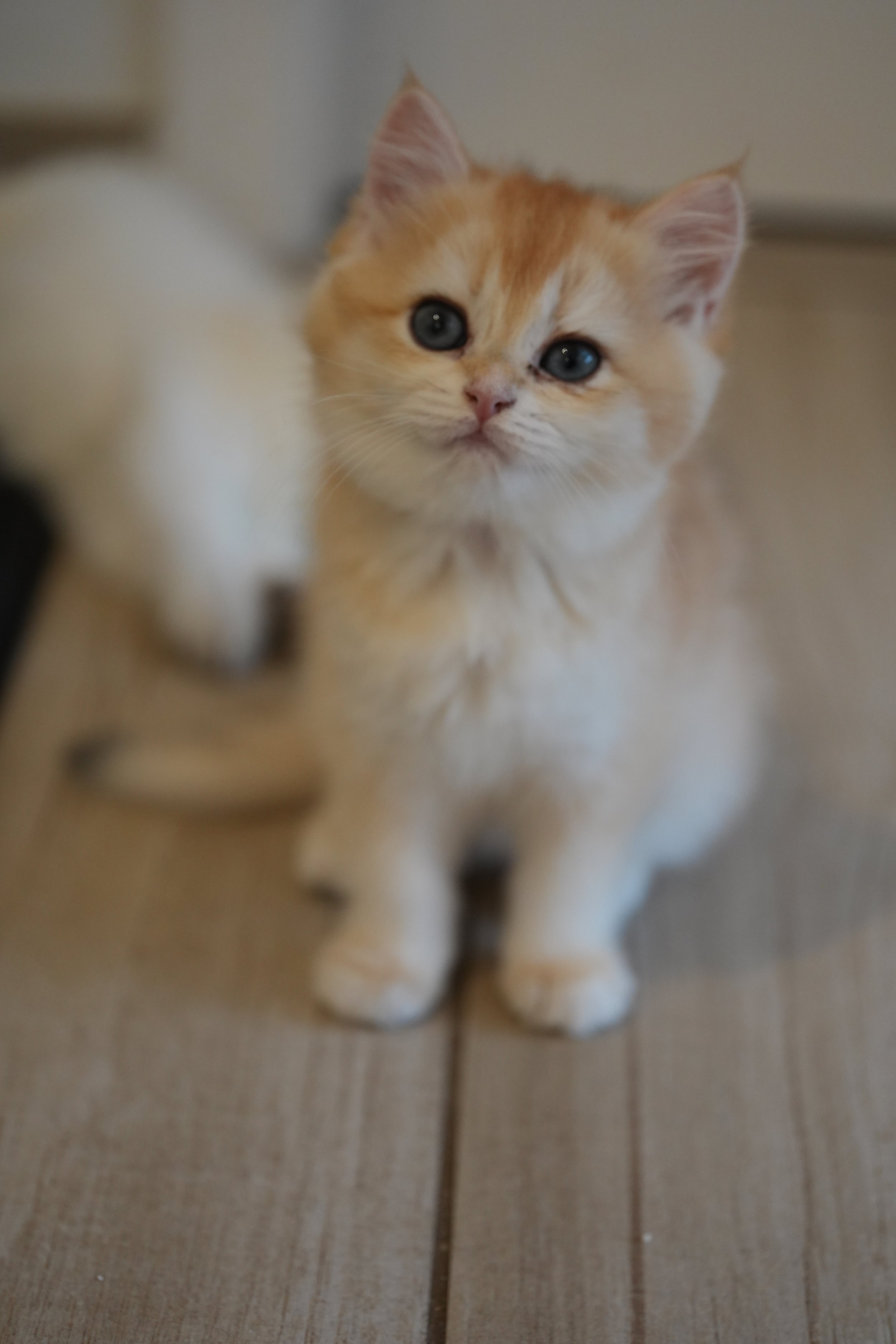 DSC00652.JPG