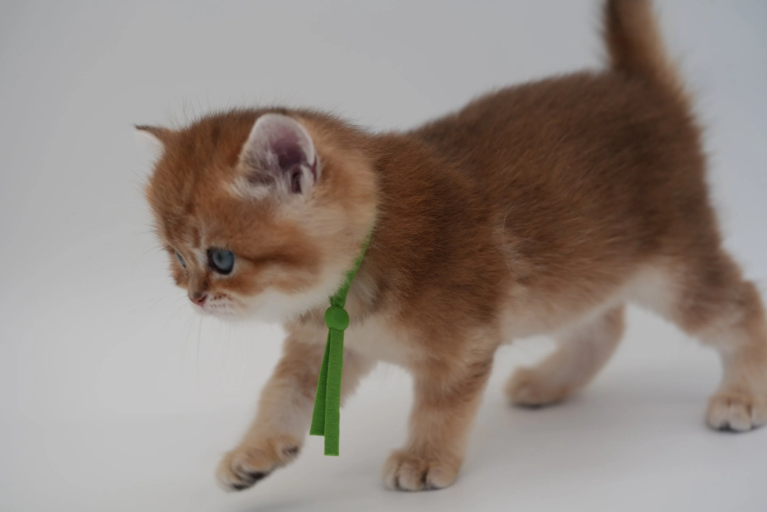DSC02208.JPG