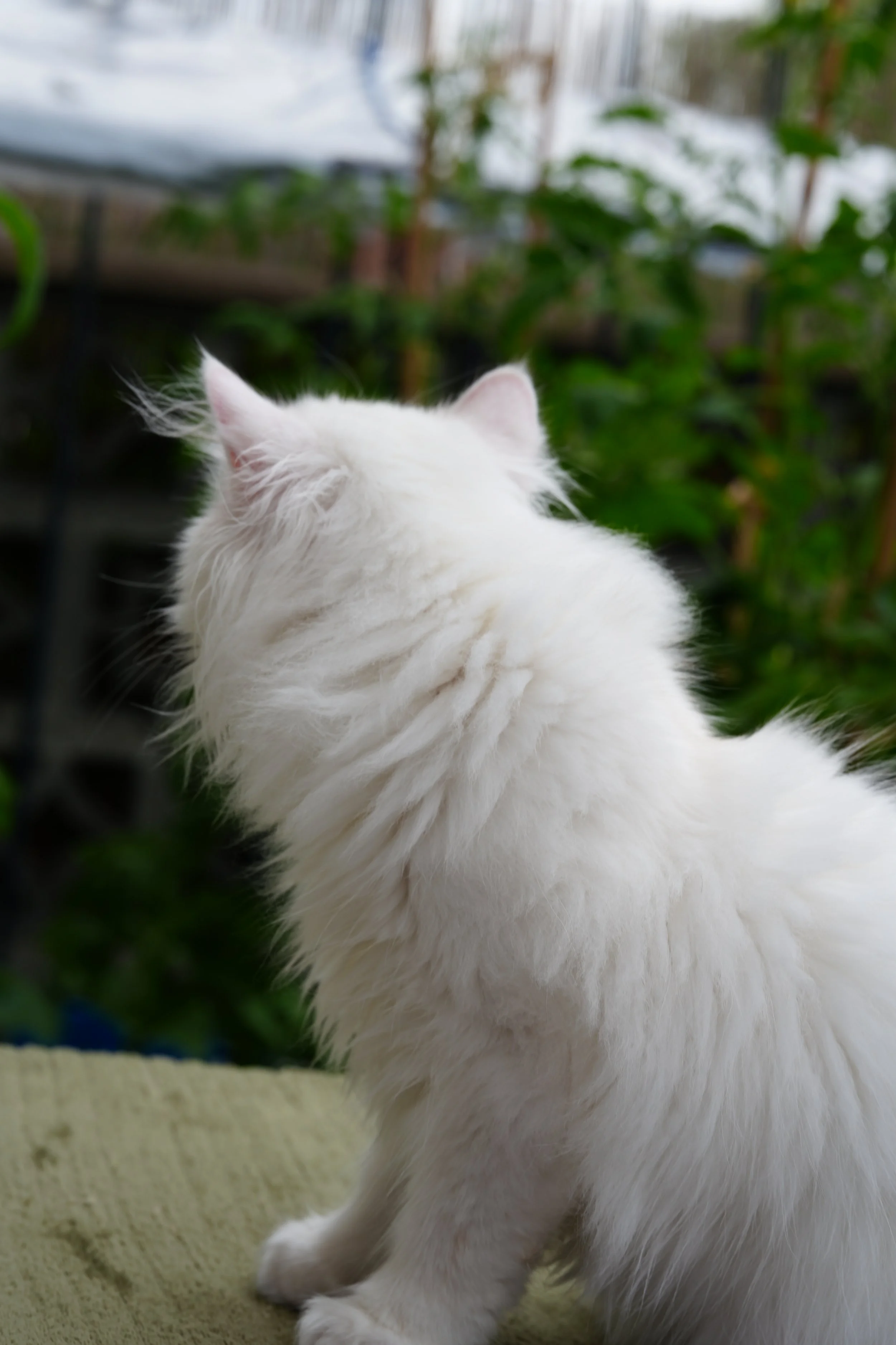 DSC01032.JPG