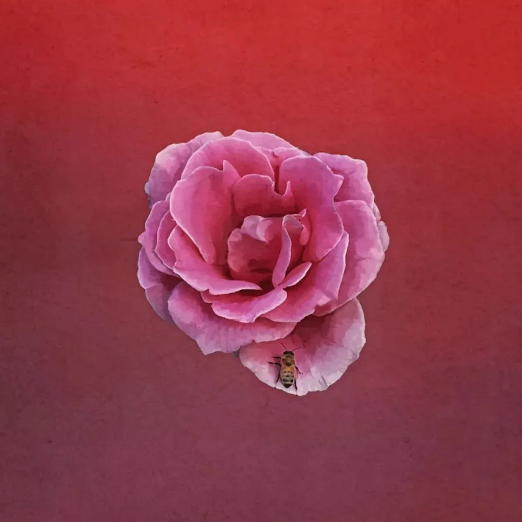 CRASH RICHARD ANY ONE THING.webp