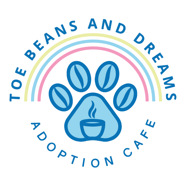 Toe Beans and Dreams Adoption Cafe