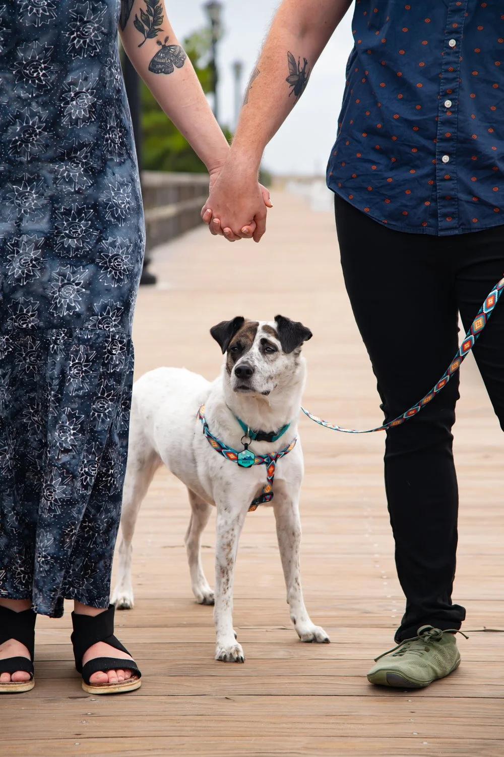 Pet friendly engagement and couples sessions on the beach in Ocean City, Bethany Beach, and Rehoboth Beach by Rayne Photography