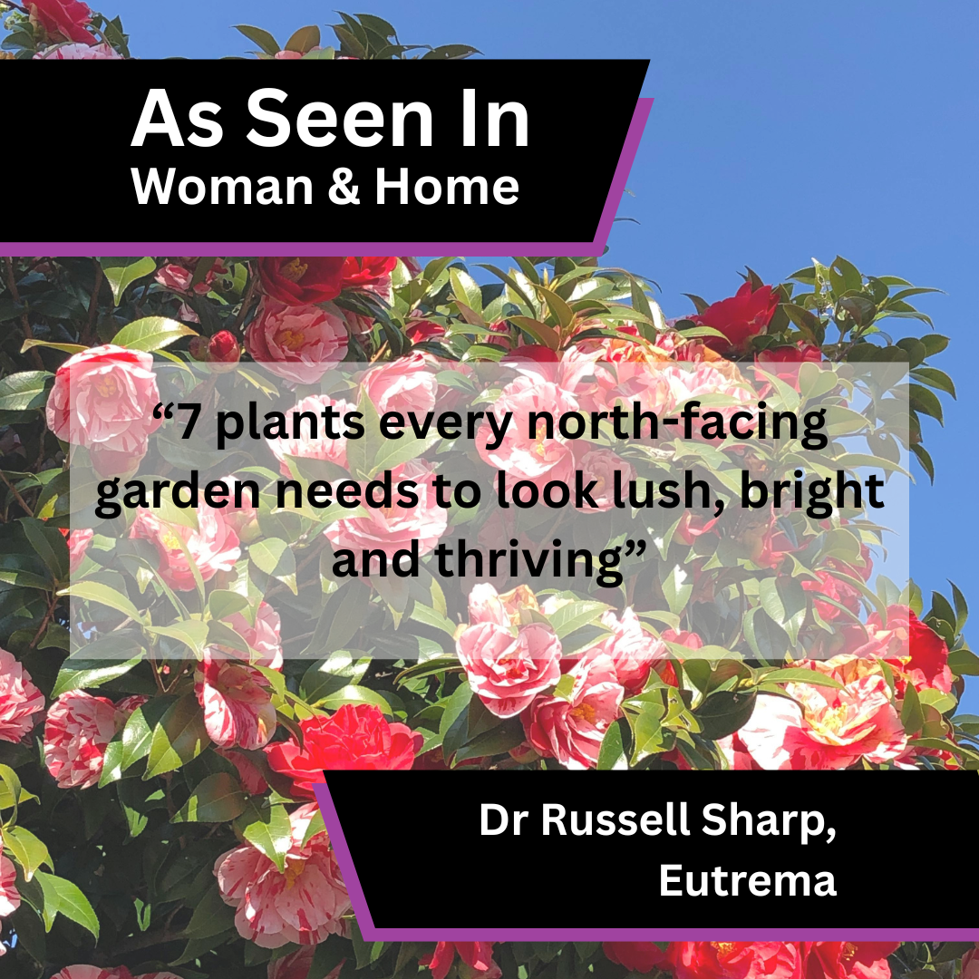 Eutrema Shares North-Facing Garden Advice in Woman &amp; Home