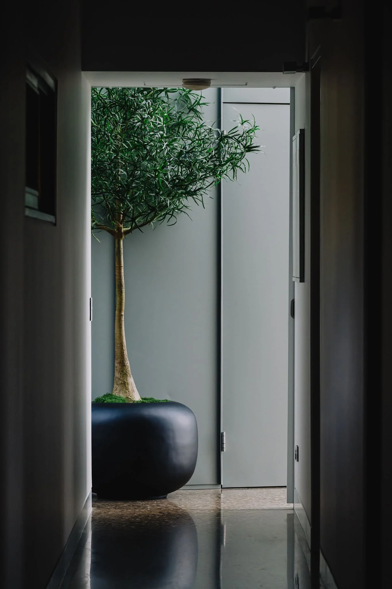 HAUS+HEIM-TATOONIE-118.jpg