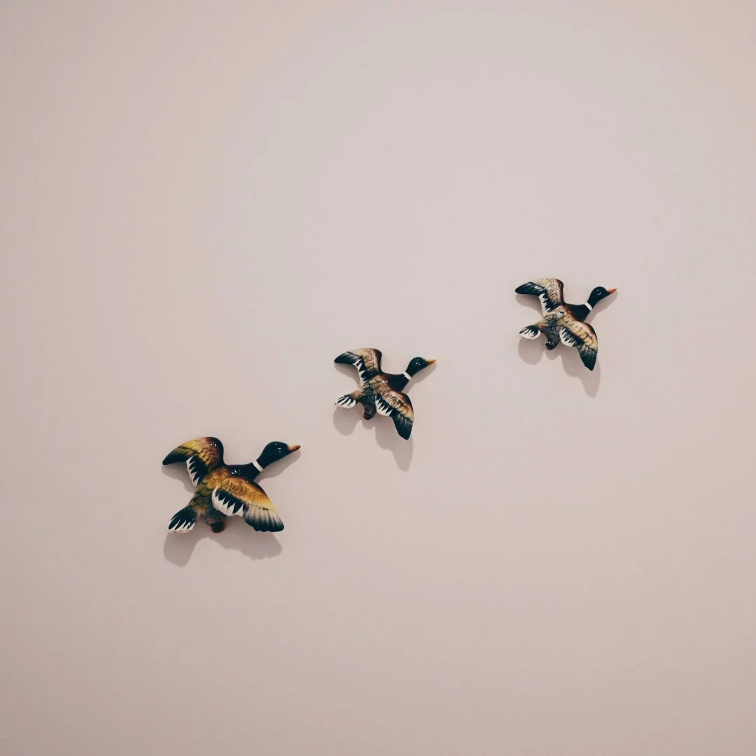 Accommodation Bright
Accommodation Porepunkah
Accommodation Beechworth
Accommodation Myrtleford
Accommodation Hotham
Accommodation Falls Creek