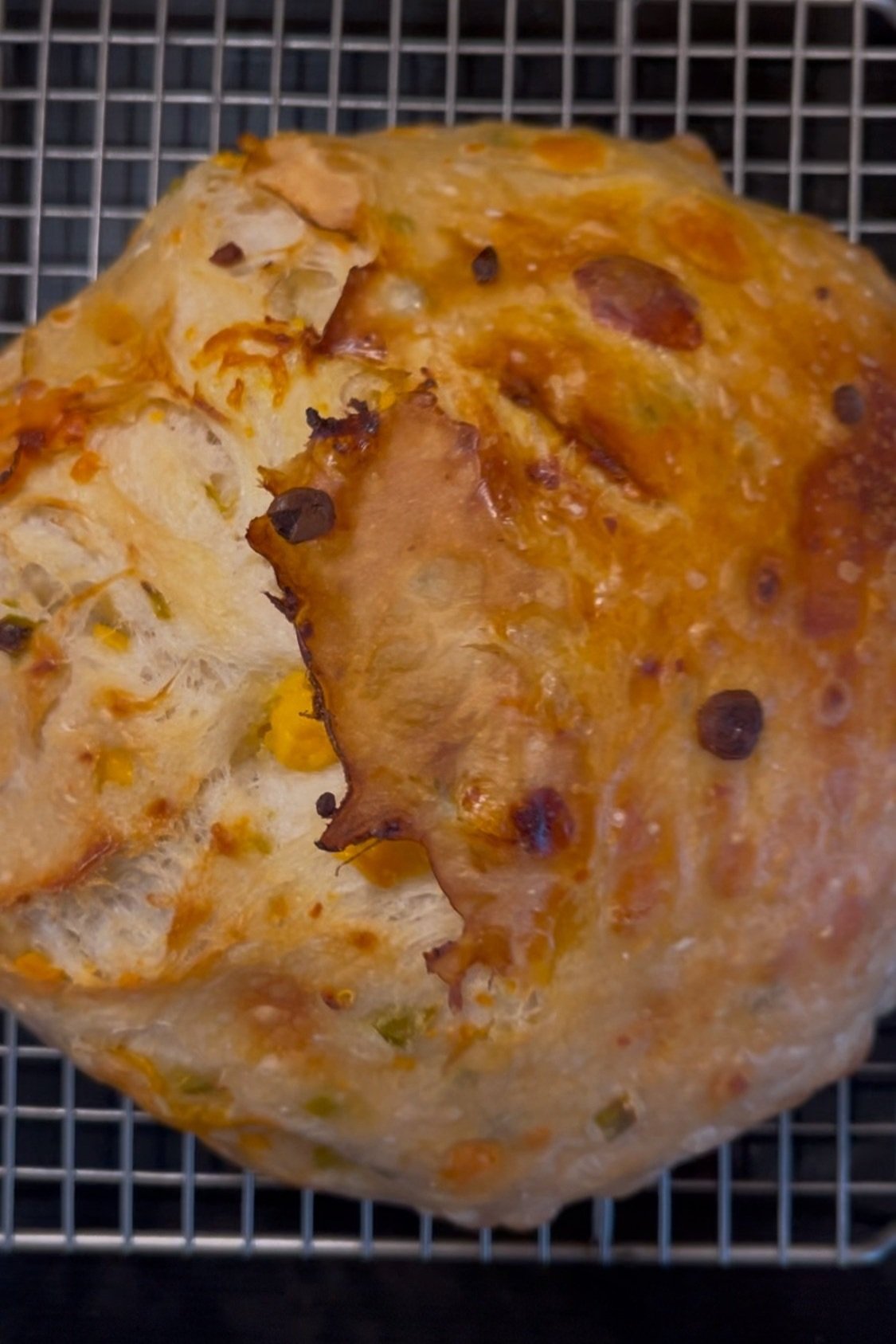 Jalapeno+Cheddar.jpg