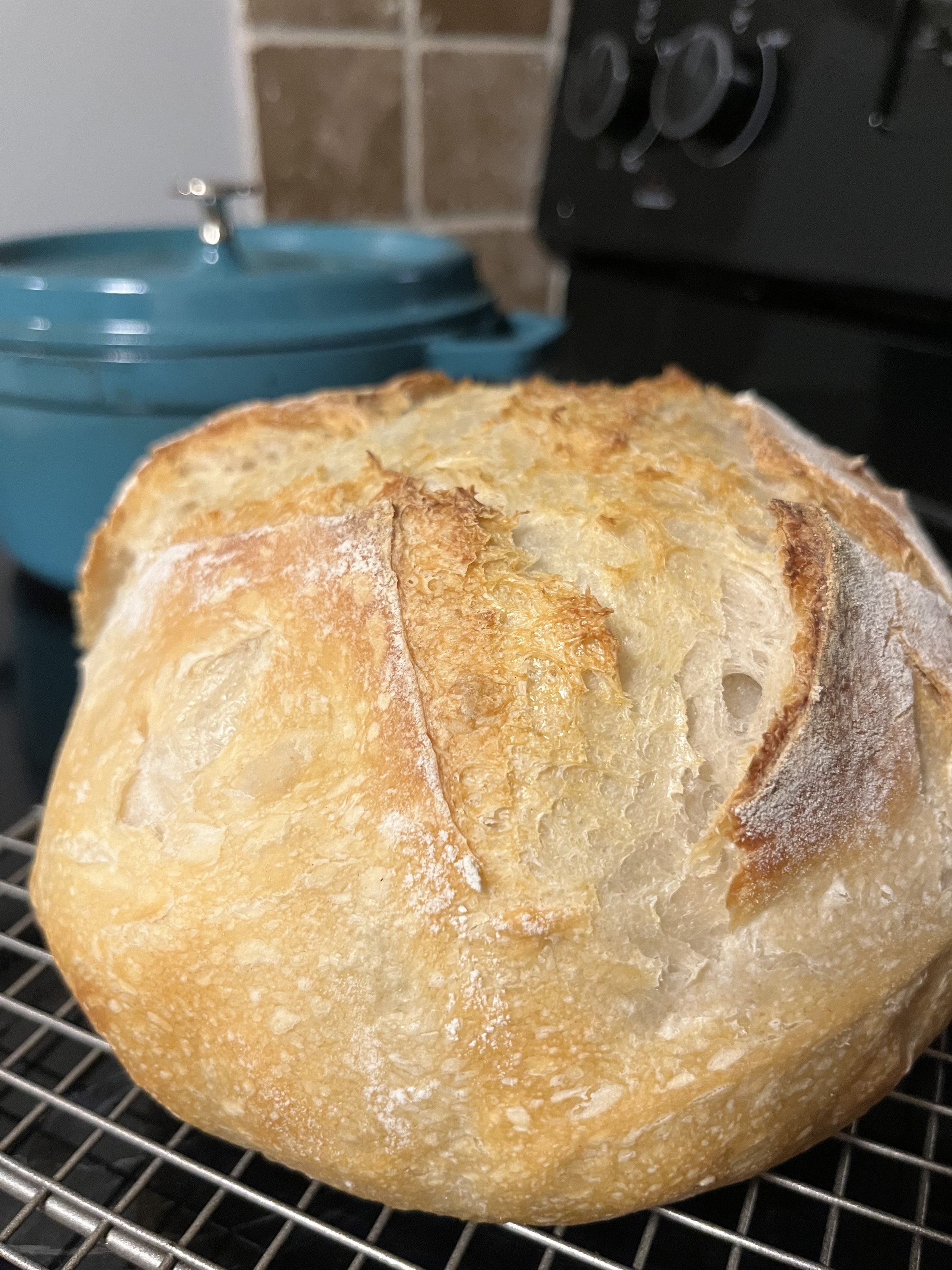 Sourdough Loaf (Classic)