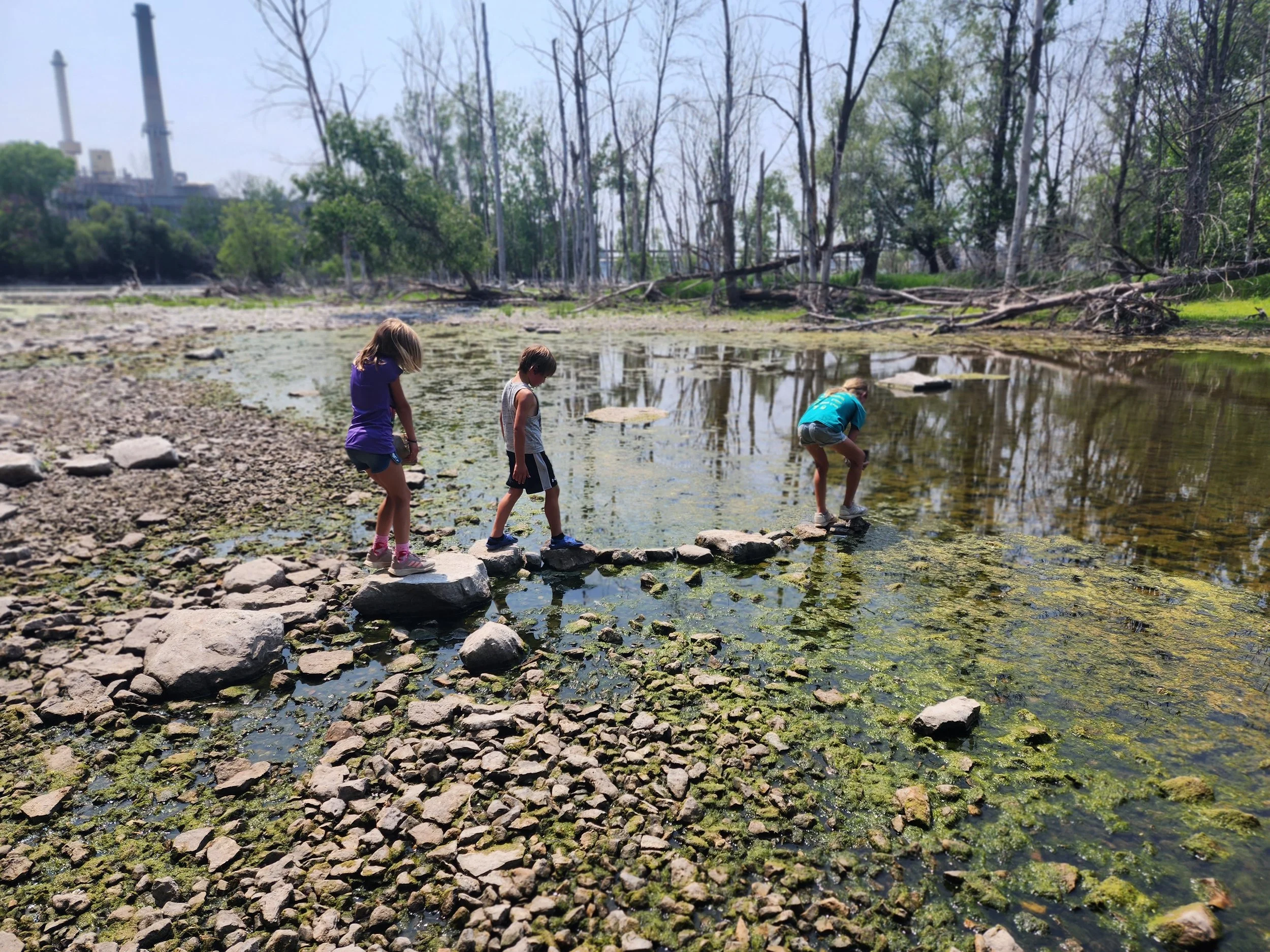 Summer Unplugged!-Action Week-8/11, 8/13