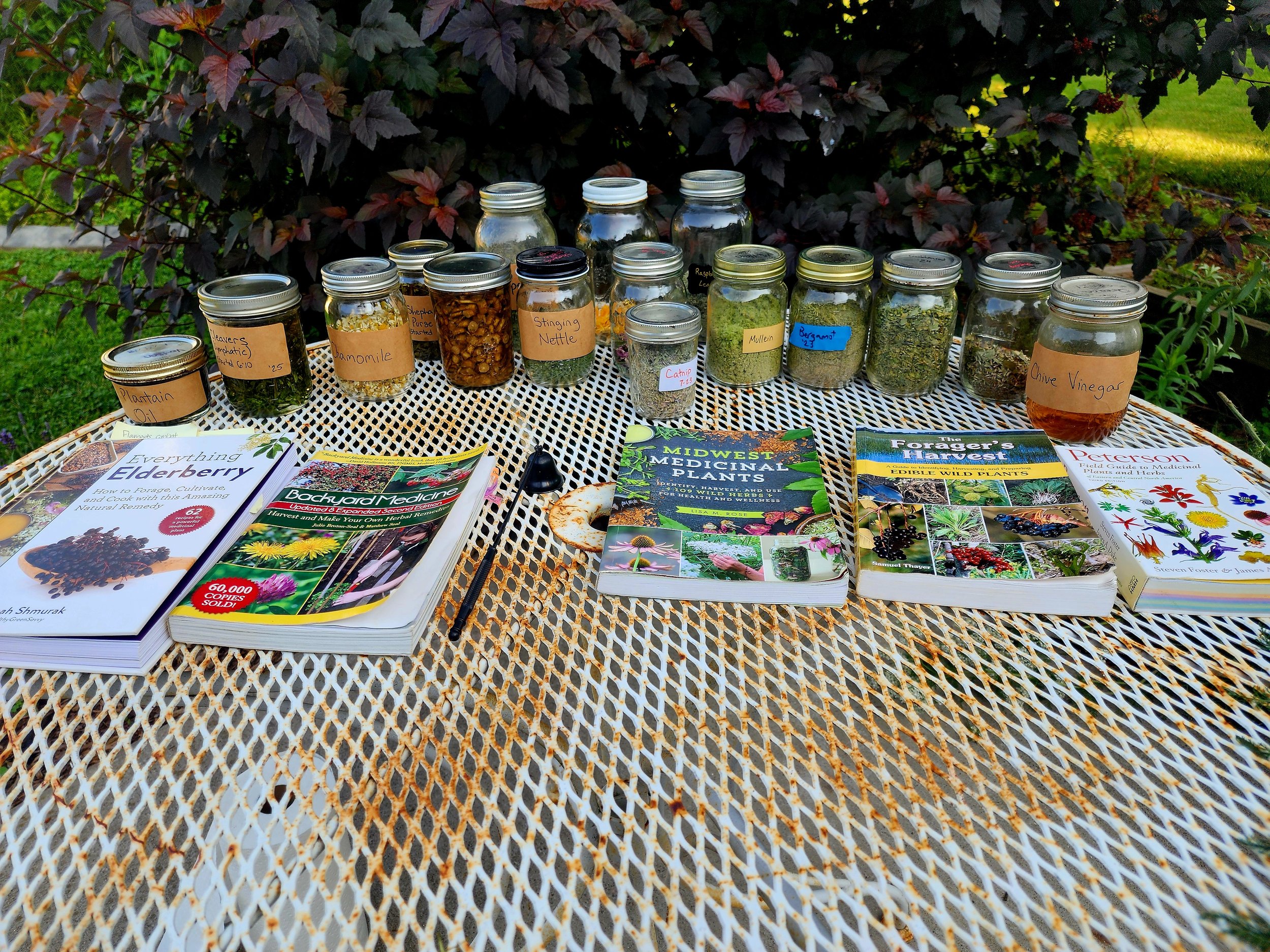 Build Your Backyard Apothecary- July 8, 2026