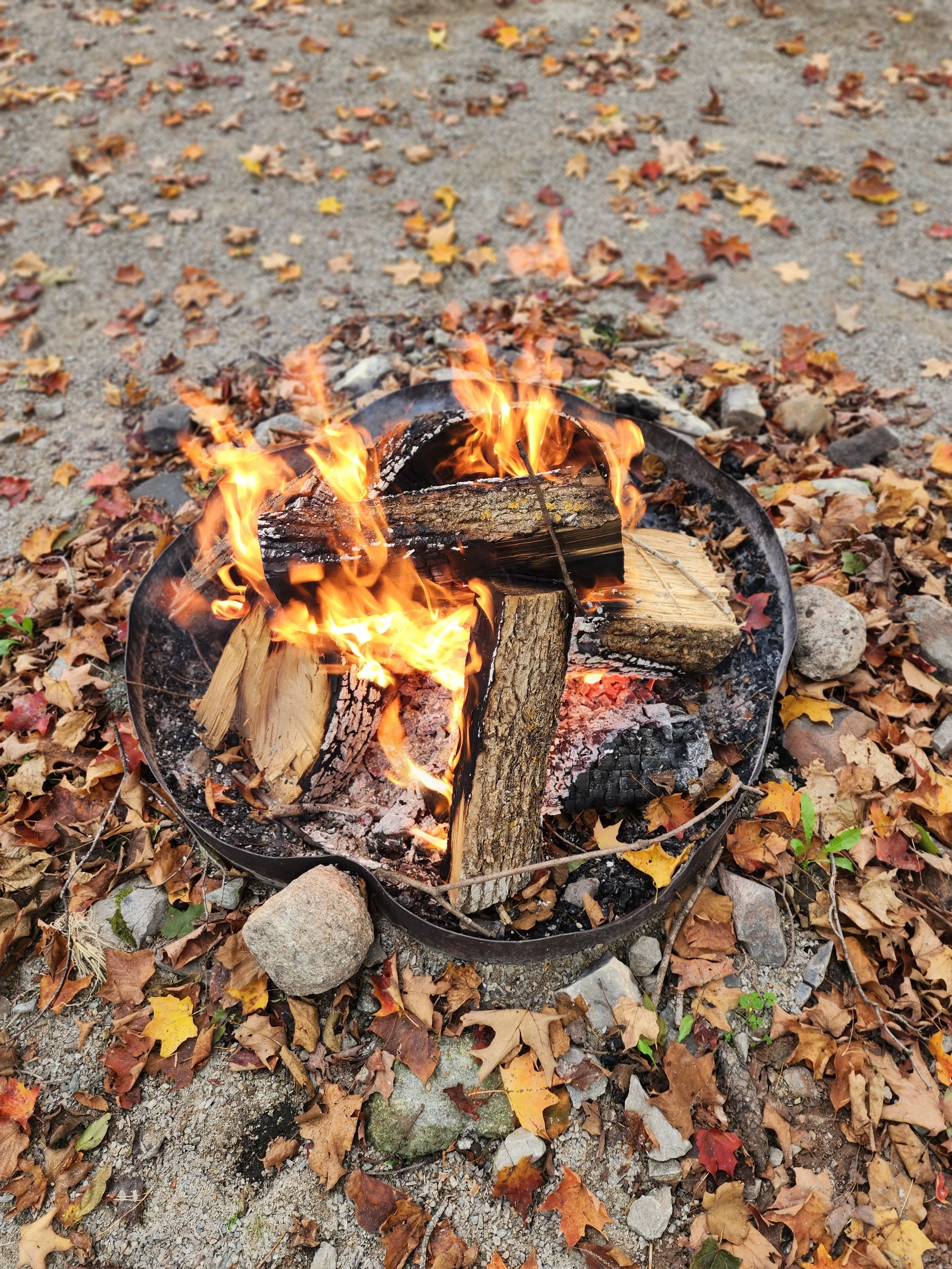 20251016_105257.jpg (Copy) (Copy)