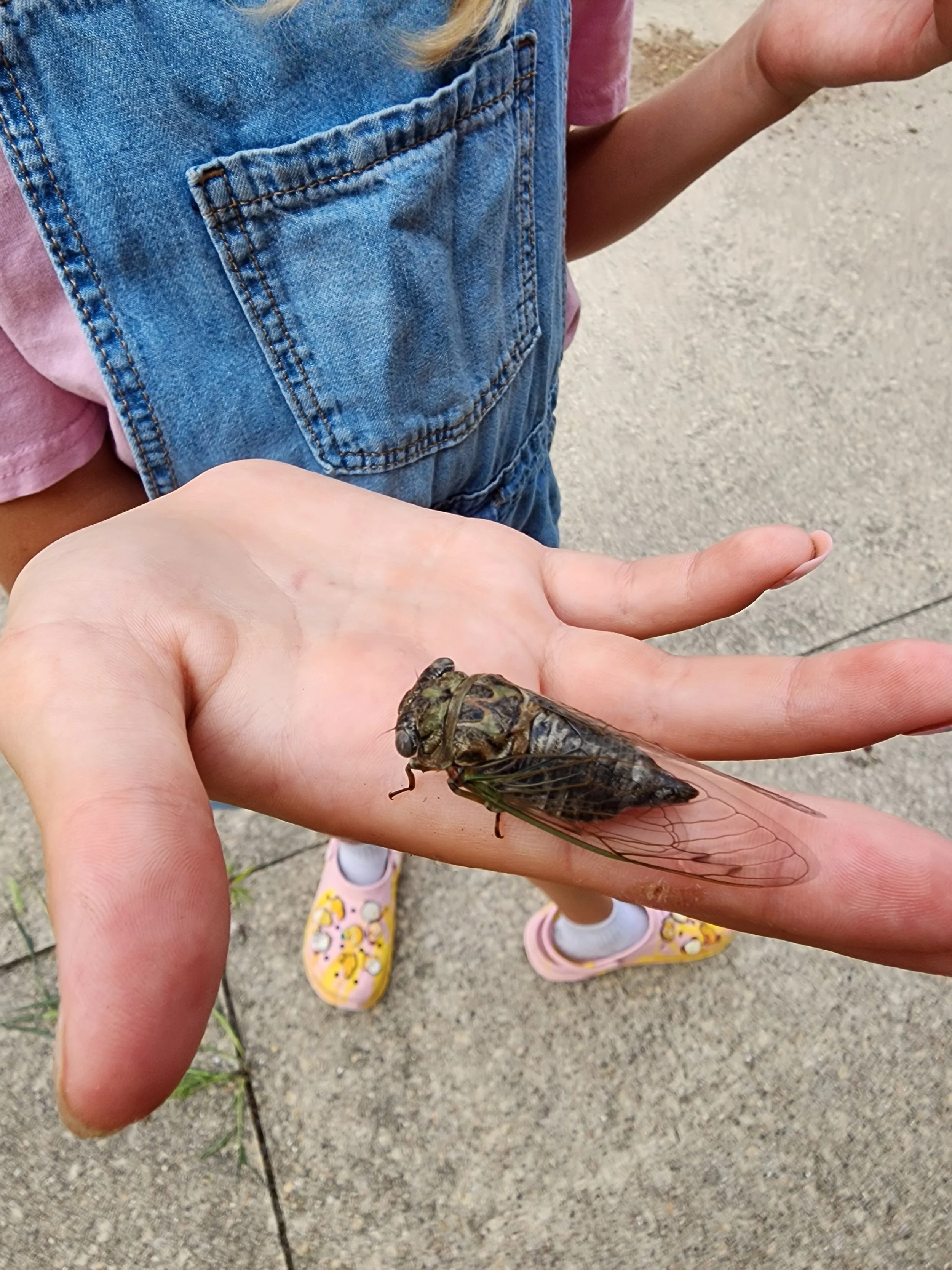 Summer Unplugged! - All Sessions - 6/30 - 8/13