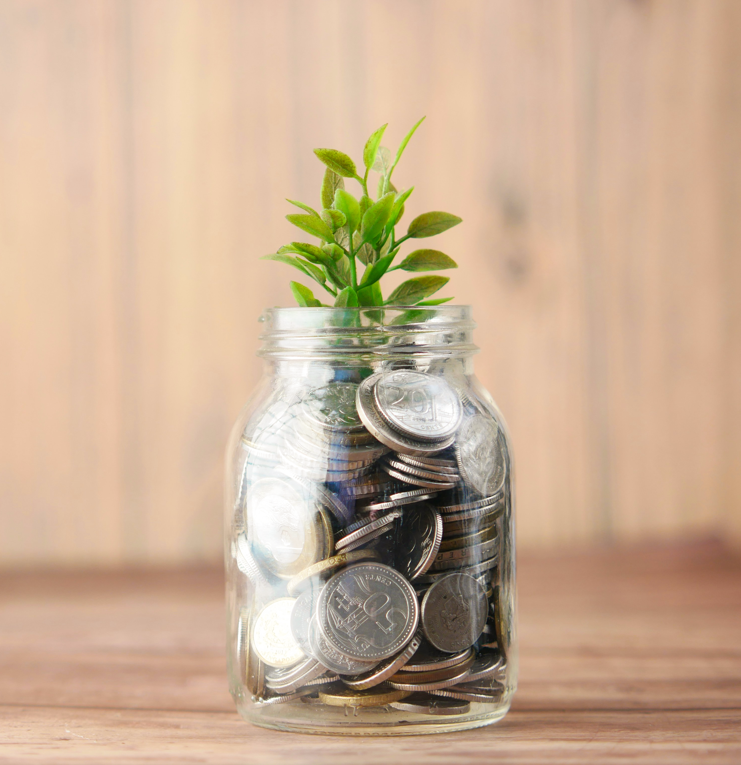 Elevate Your Fundraising