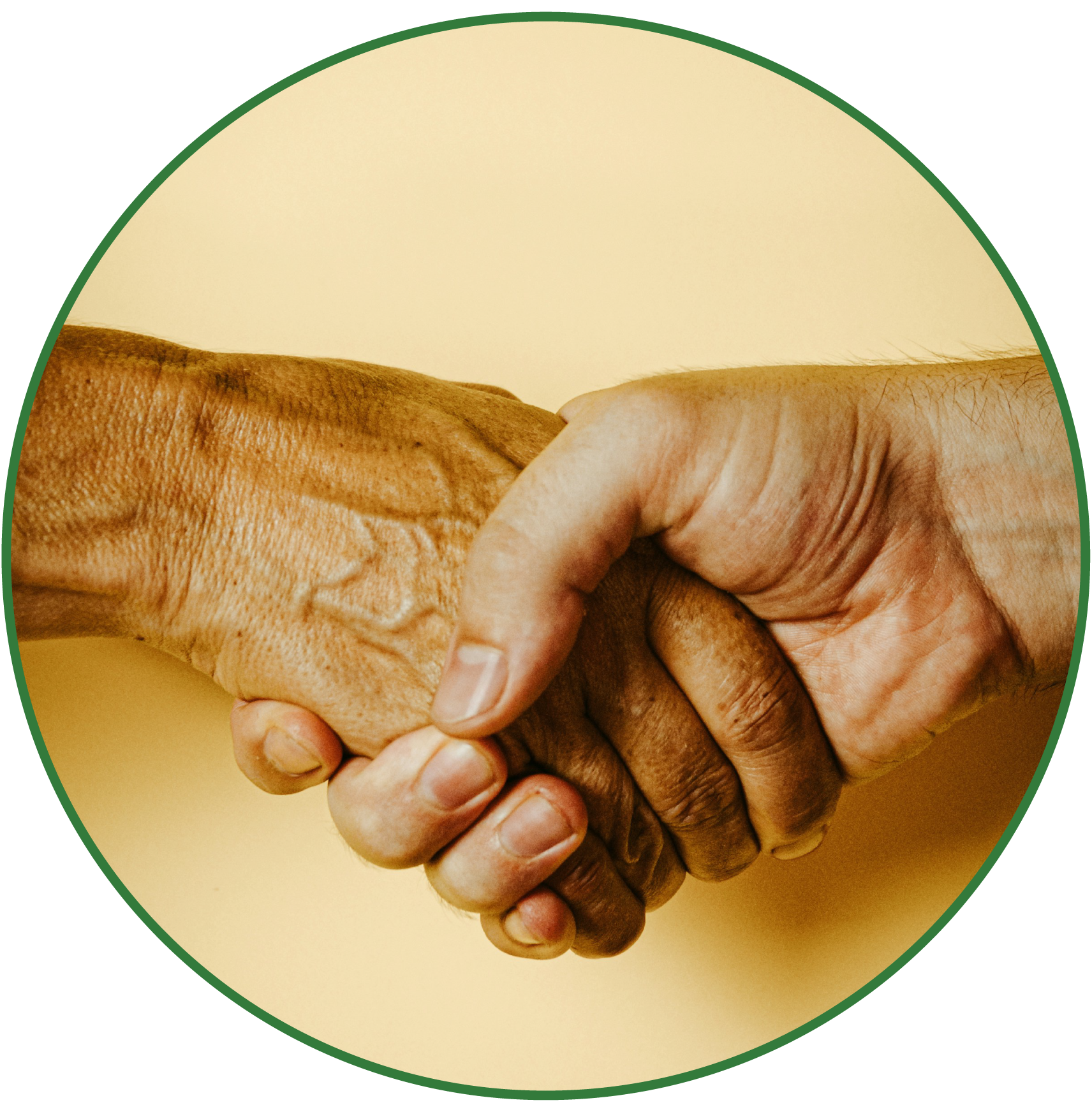 Close-up of two hands clasped in a firm handshake, one with darker skin and the other with lighter skin, against a yellow background.