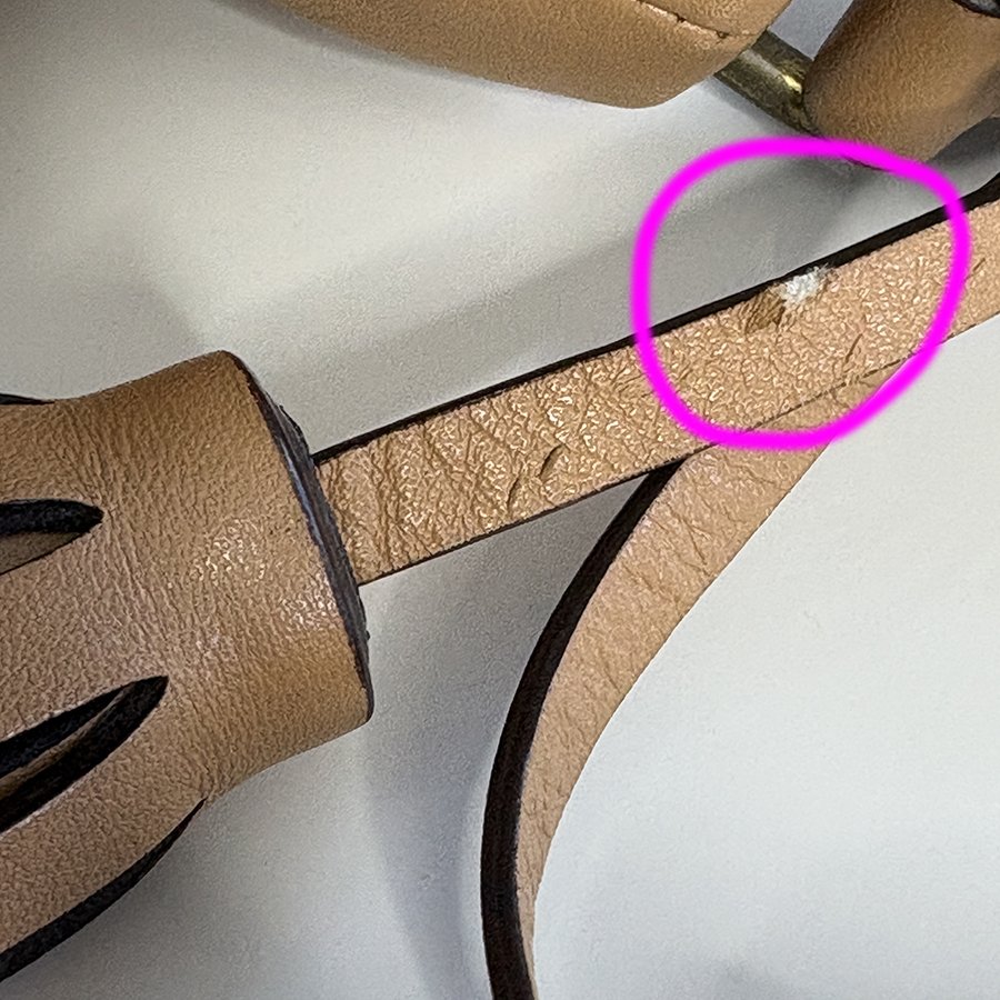 IMG_2249 circle 5in.jpg