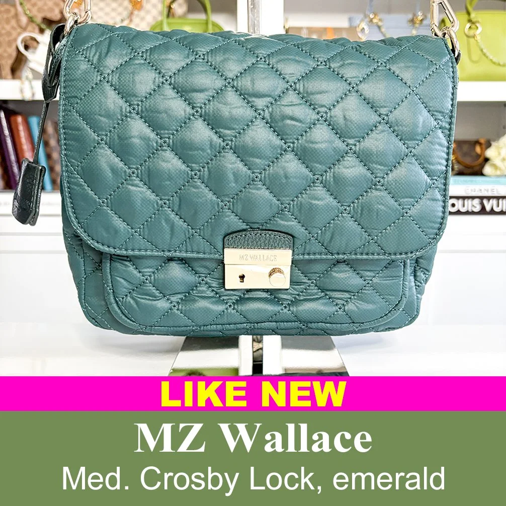 MZ Wallace, medium crosby lock, emerald